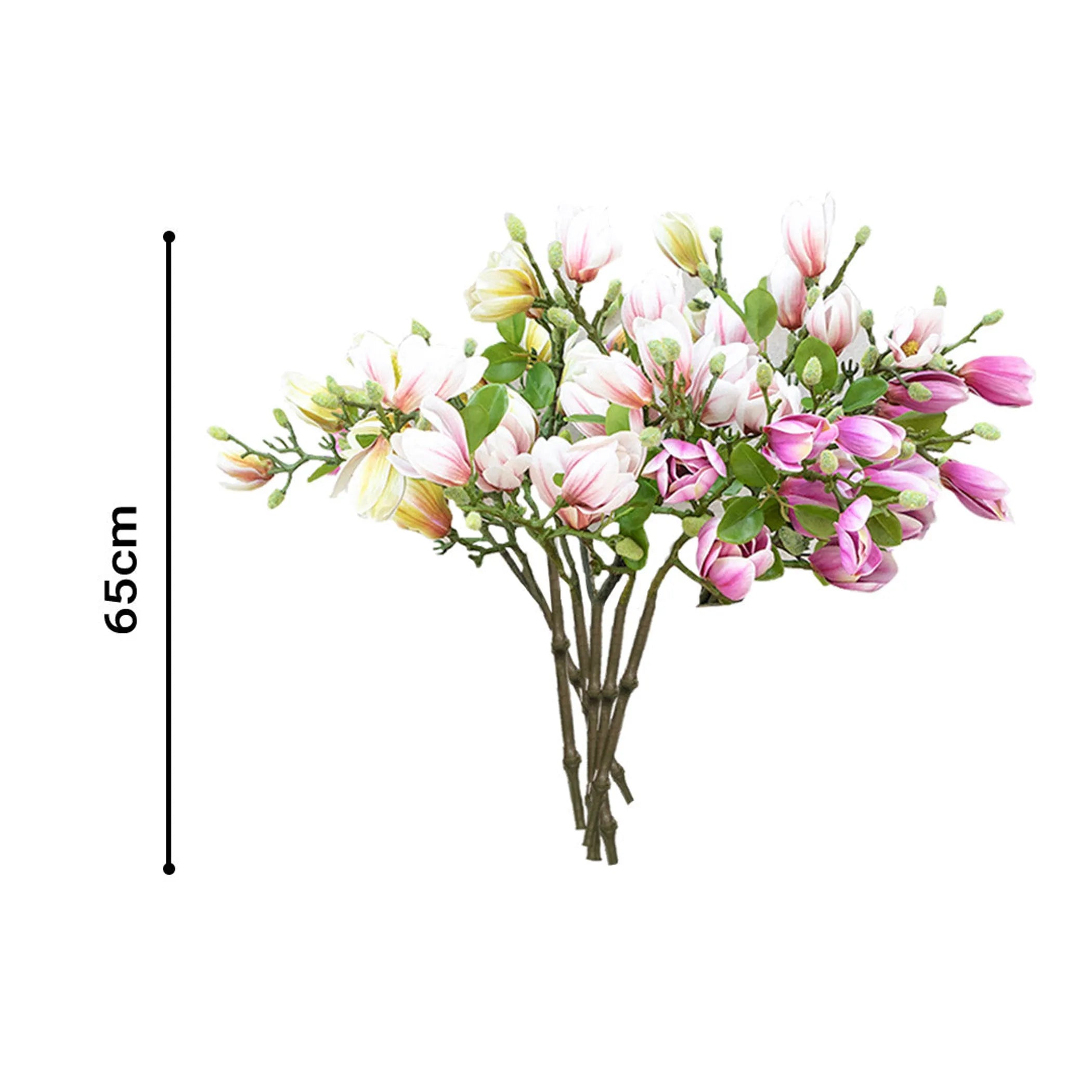 Bouquet of artificial magnolias flowers with measurement on a white background