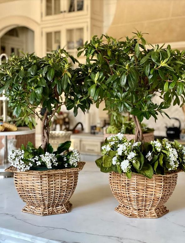 Two wicker planters with greenery and white flowers on a marble surface.