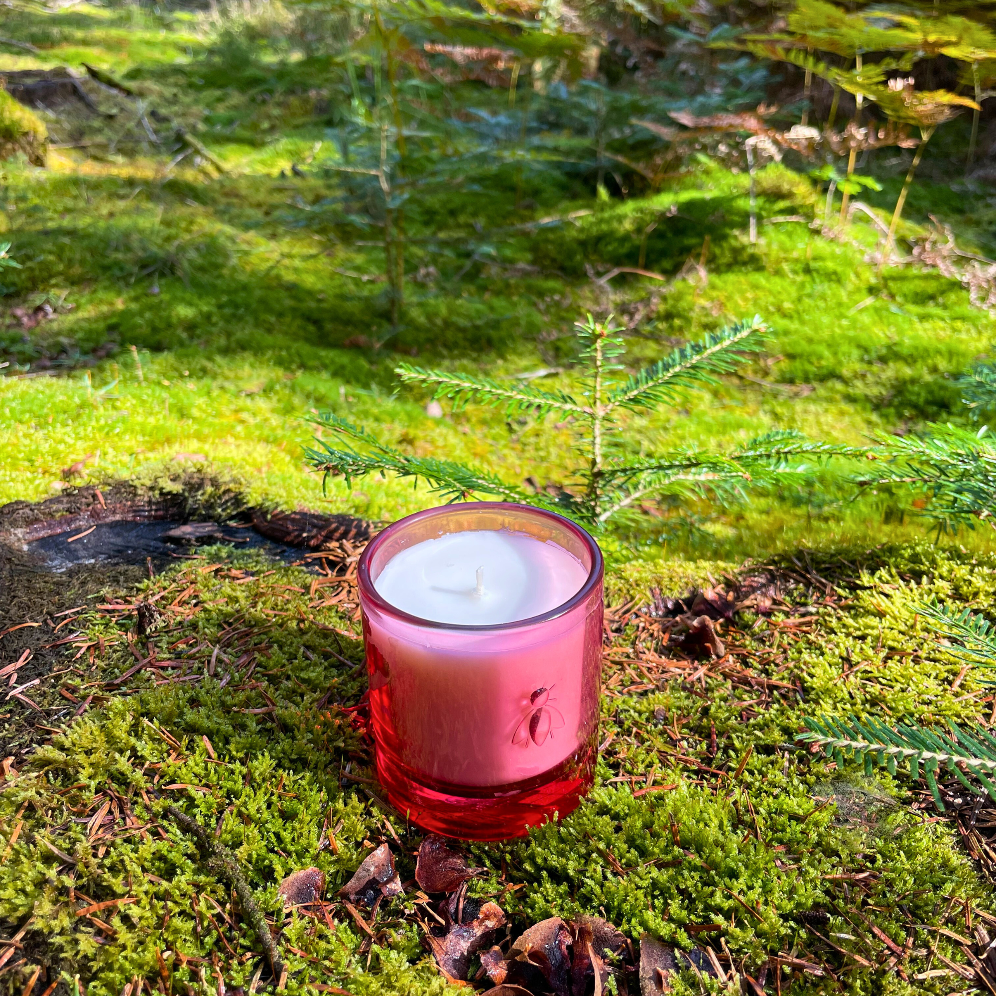 La Rochère Pink candle in a forest setting with green grass and trees.