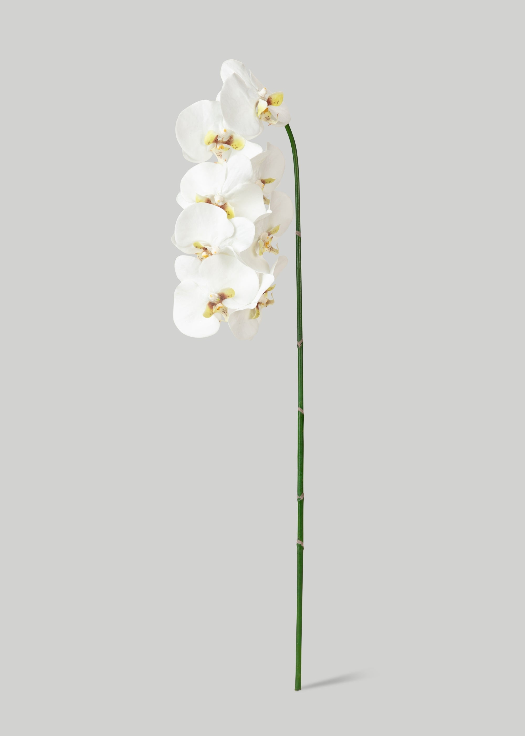 Faux White Blooming Phalaenopsis Orchids - 40"