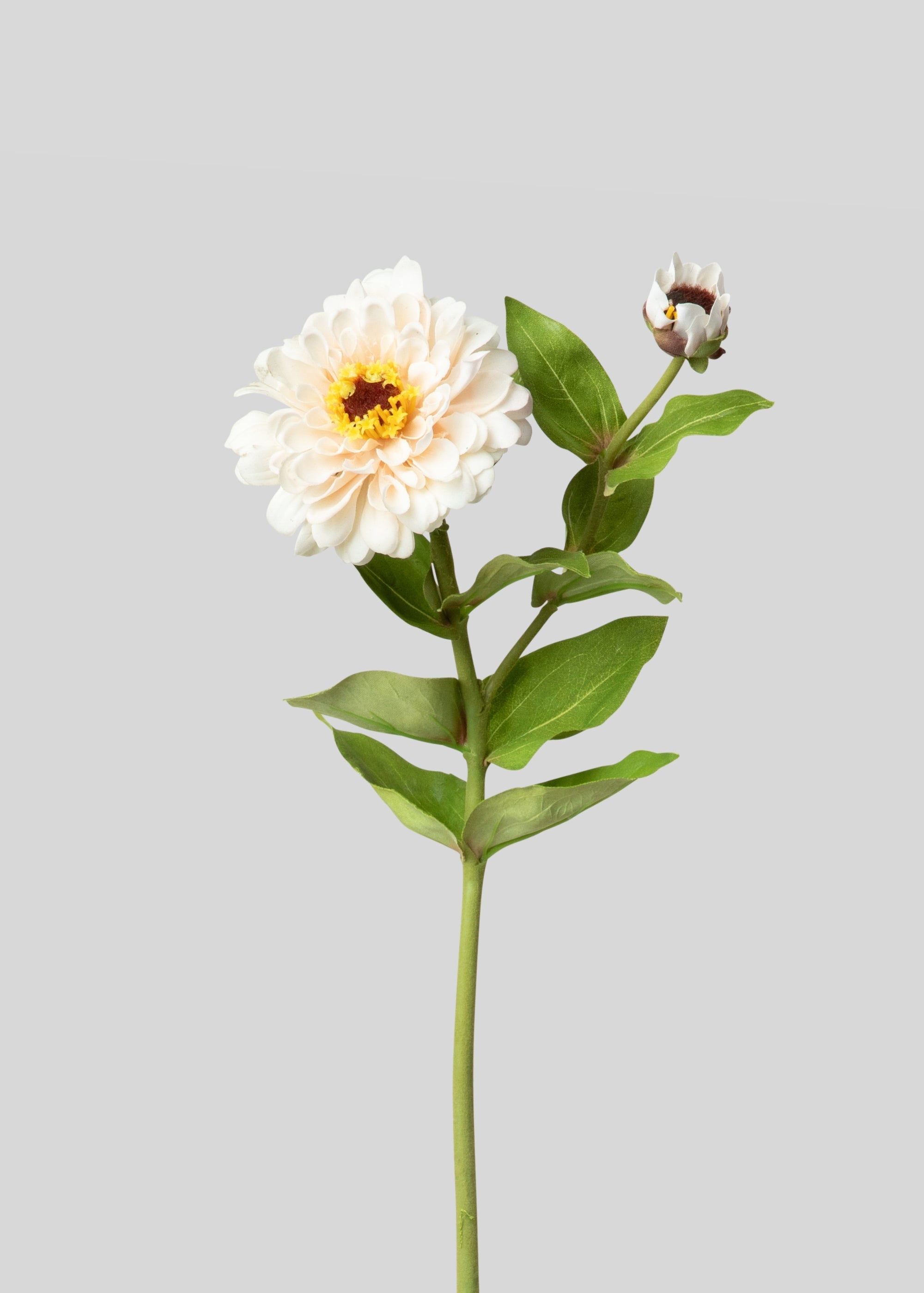 Cream Zinnia Real Touch Fake Flower - 24.5"