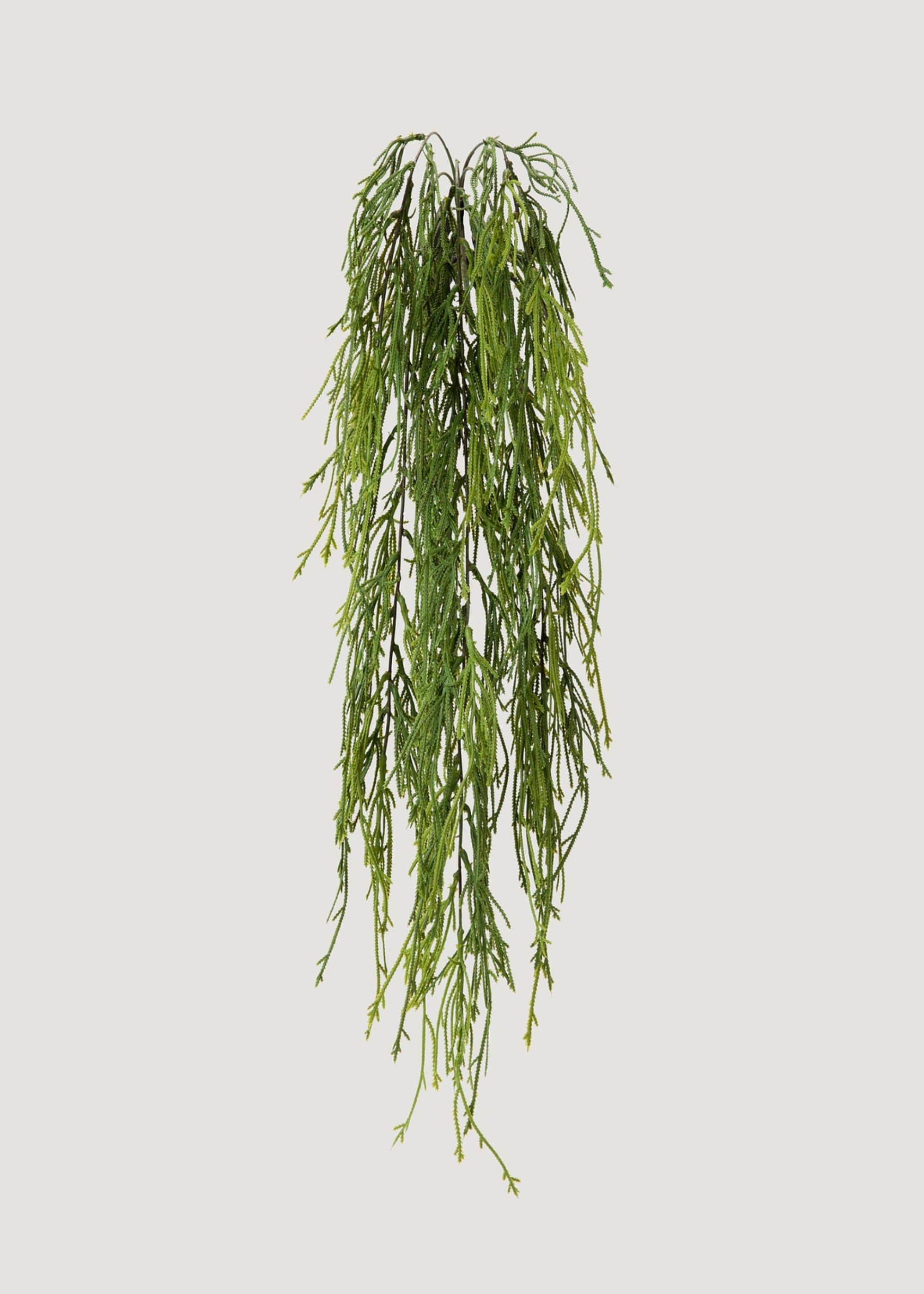 UV Treated Indoor/Outdoor Fake Hanging Moss Fern Plant - 38.5"