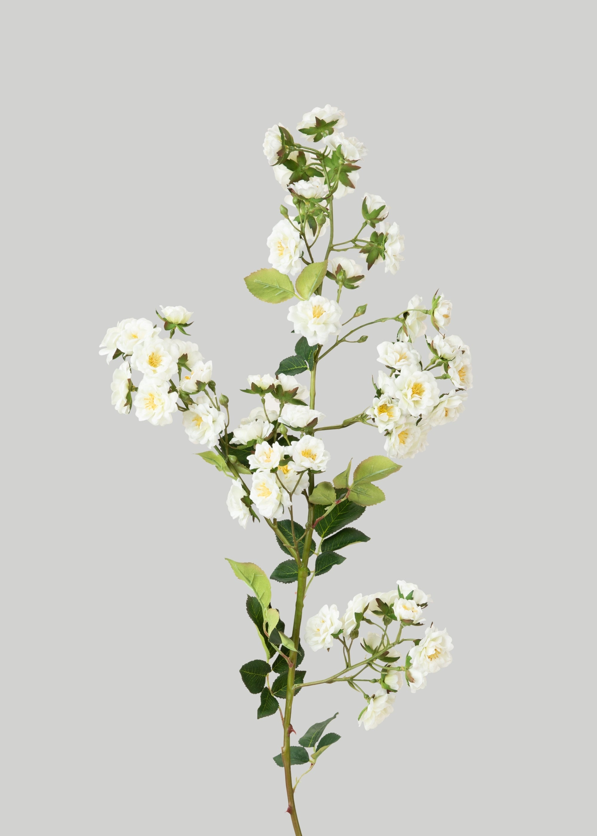 Climbing Fake Roses Branch in Cream White - 33"