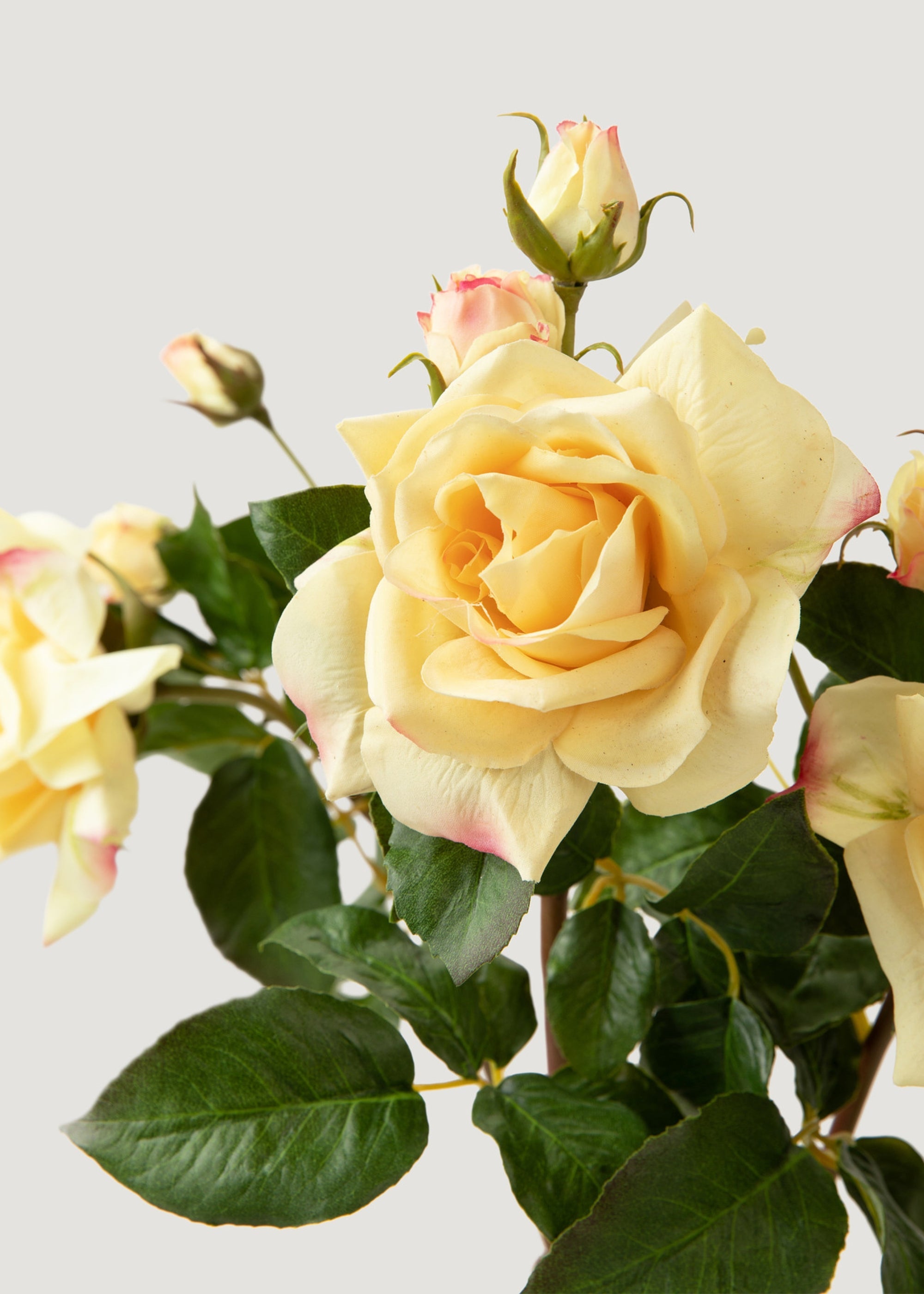 Artificial Real Touch Juliet English Rose in Yellow - 22"