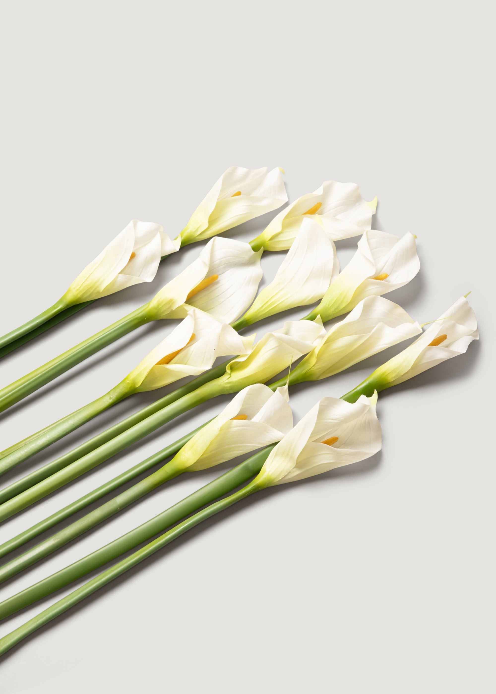 Case of 12 Artificial Calla Lily Stems in Cream 37