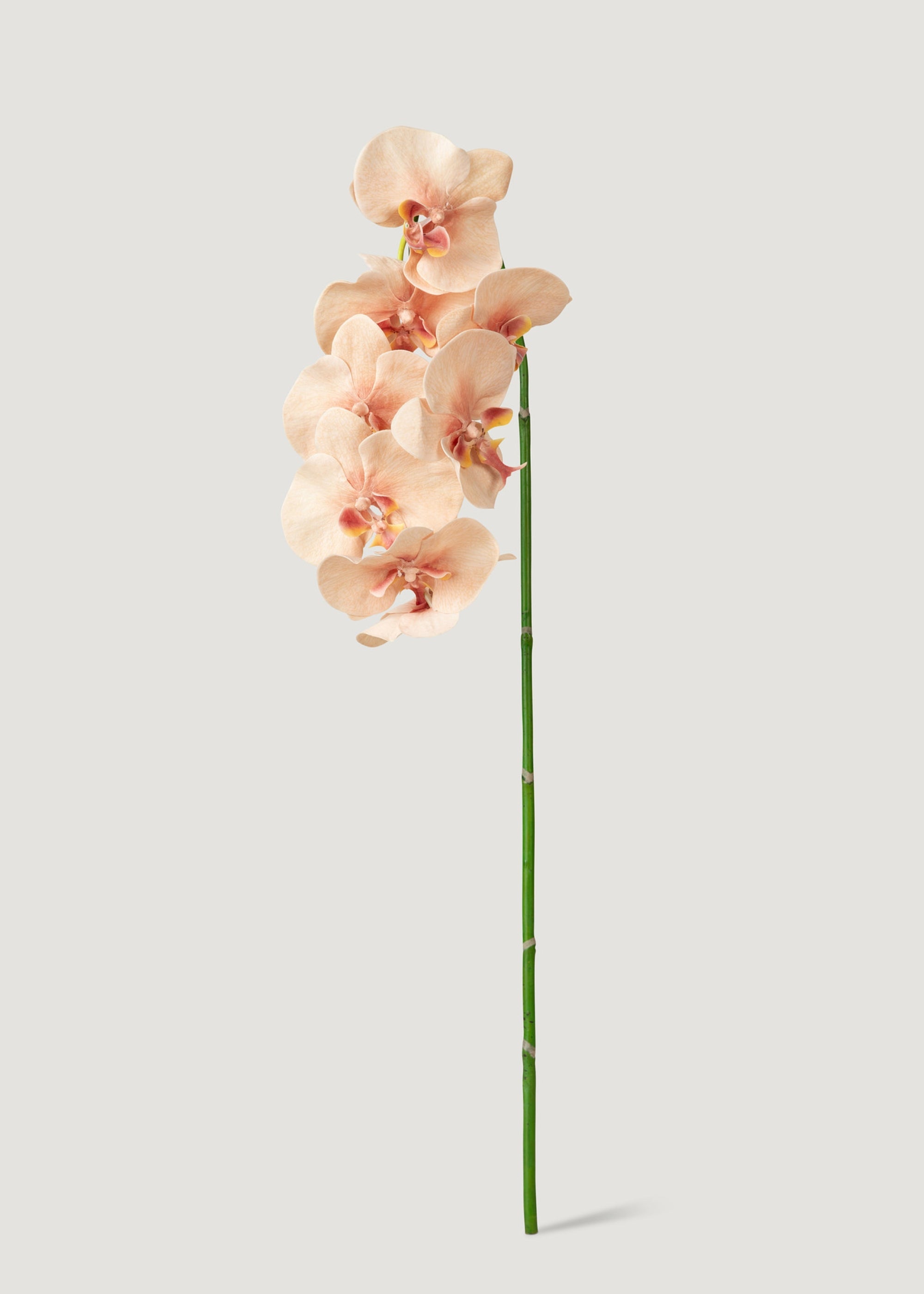 Fake Blooming Phalaenopsis Orchids in Peach Pink - 40"