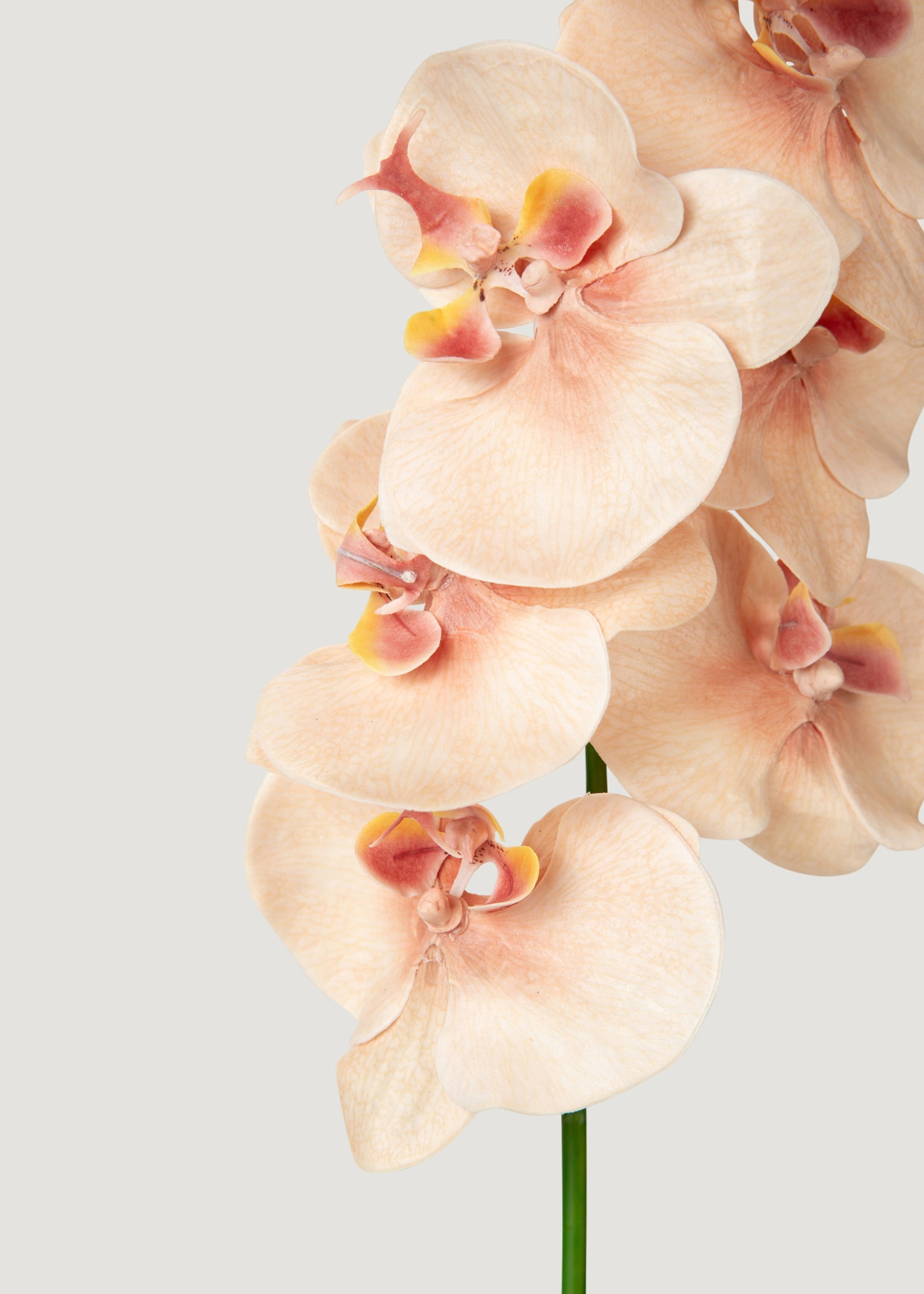 Fake Blooming Phalaenopsis Orchids in Peach Pink - 40"