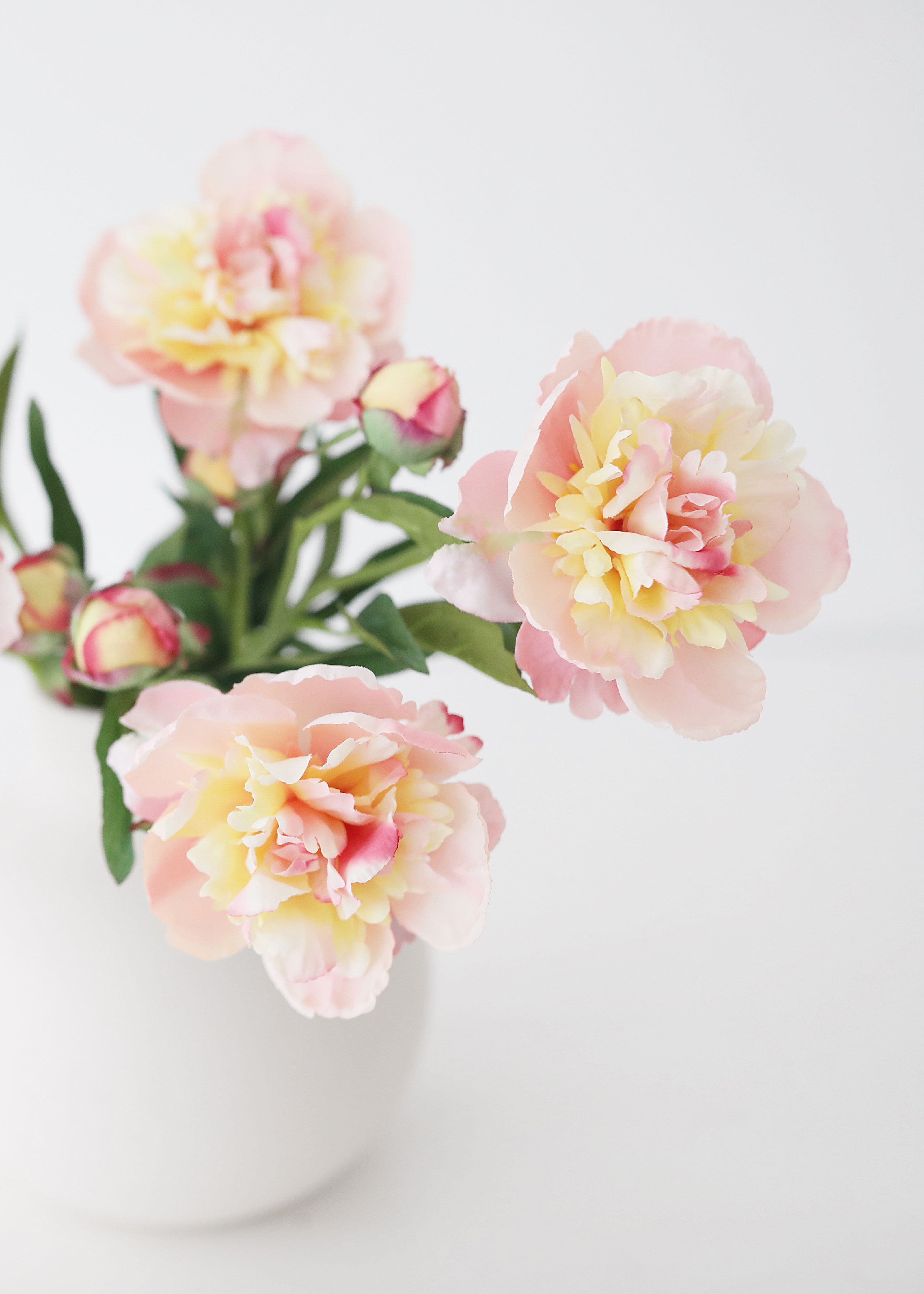 Blushing Nectar Faux Peony Flower - 22"