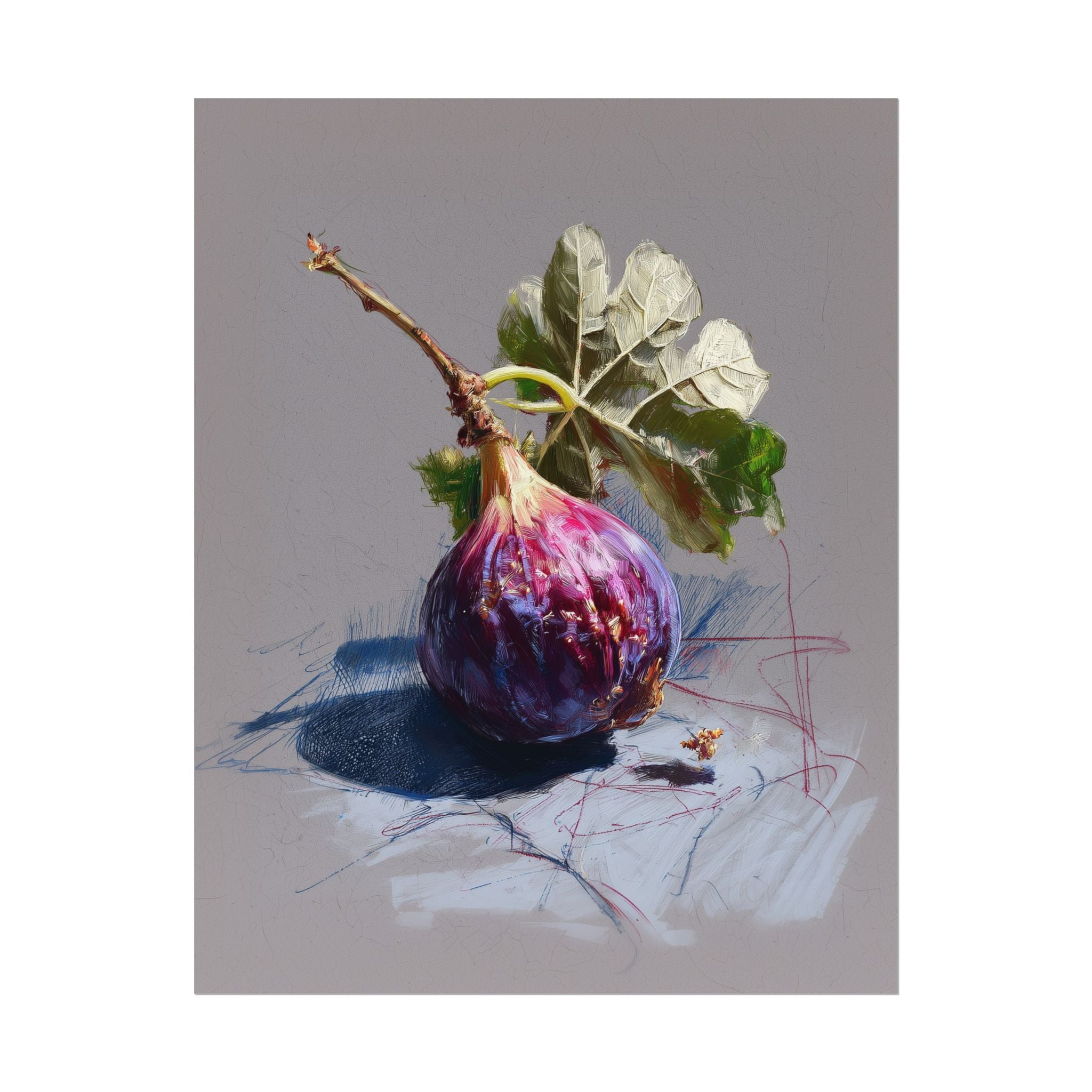 Vibrant Fig Fine Art Print – A Stunning Botanical Still Life Sketch