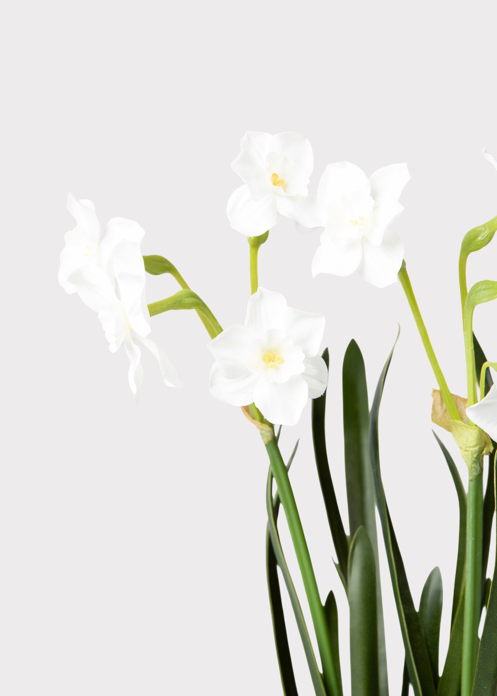 Artificial Spring Paperwhite Drop-In Plant - 17"