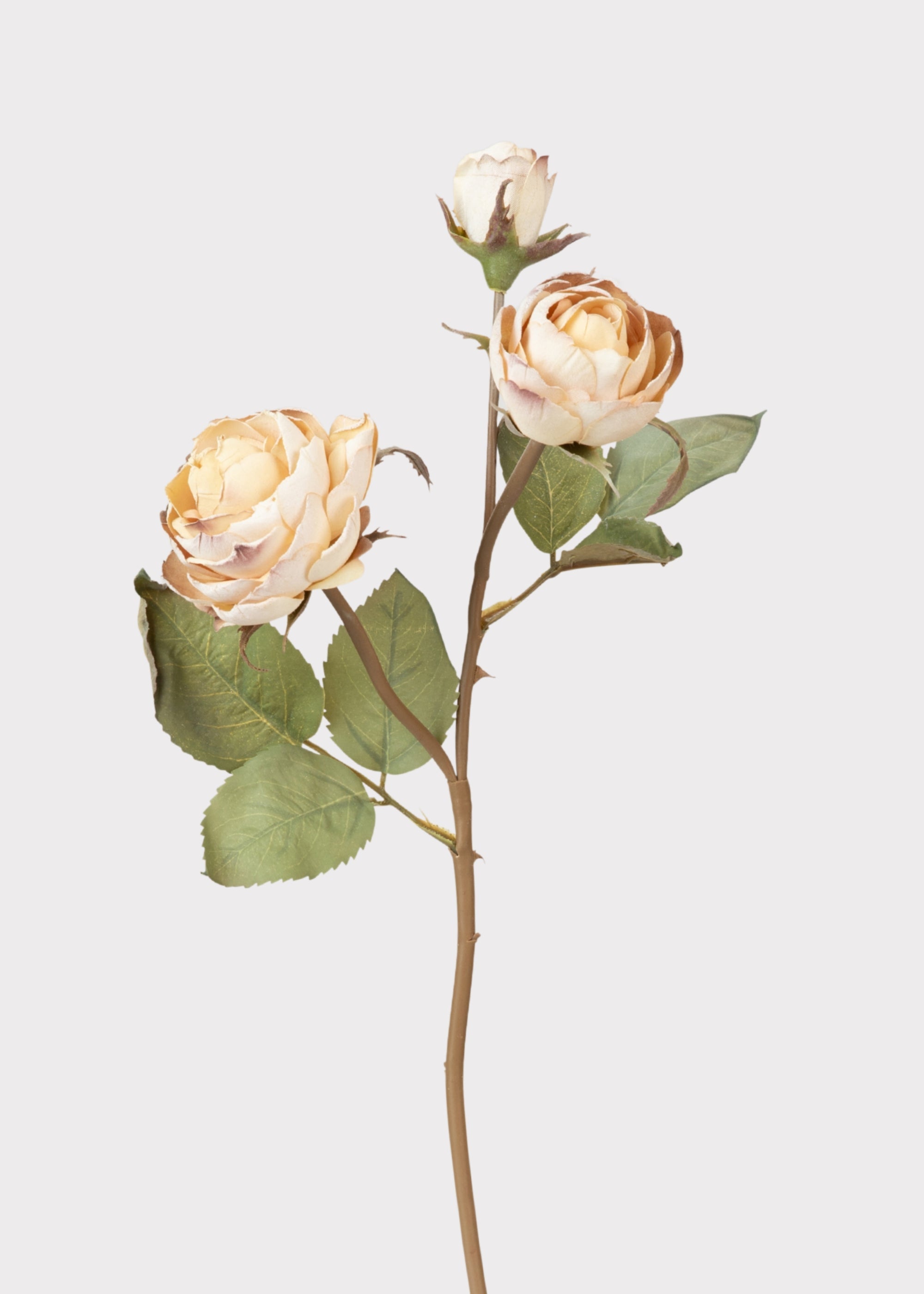 Dried Look Fake Roses in Beige - 21"
