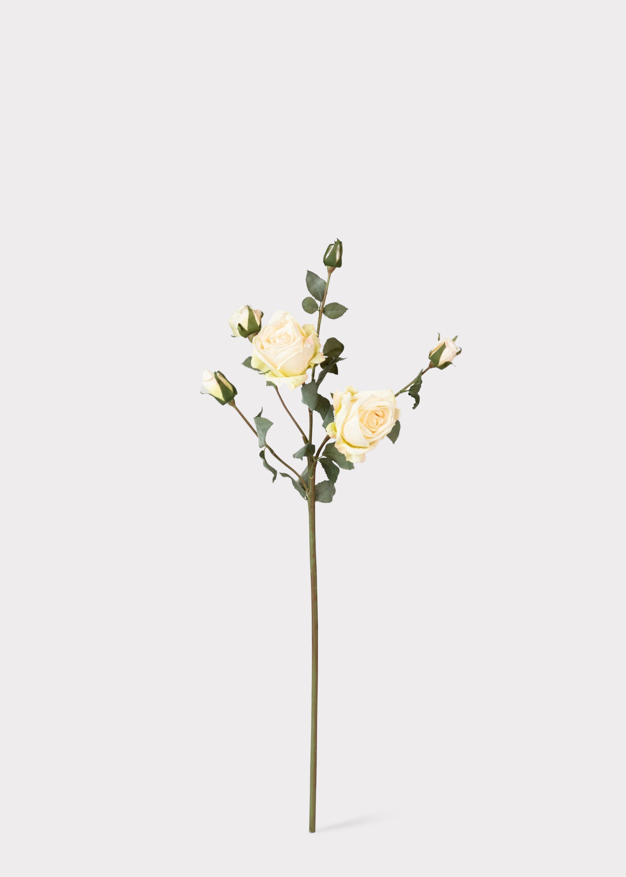 Artificial Roses in Cream - 27.5"