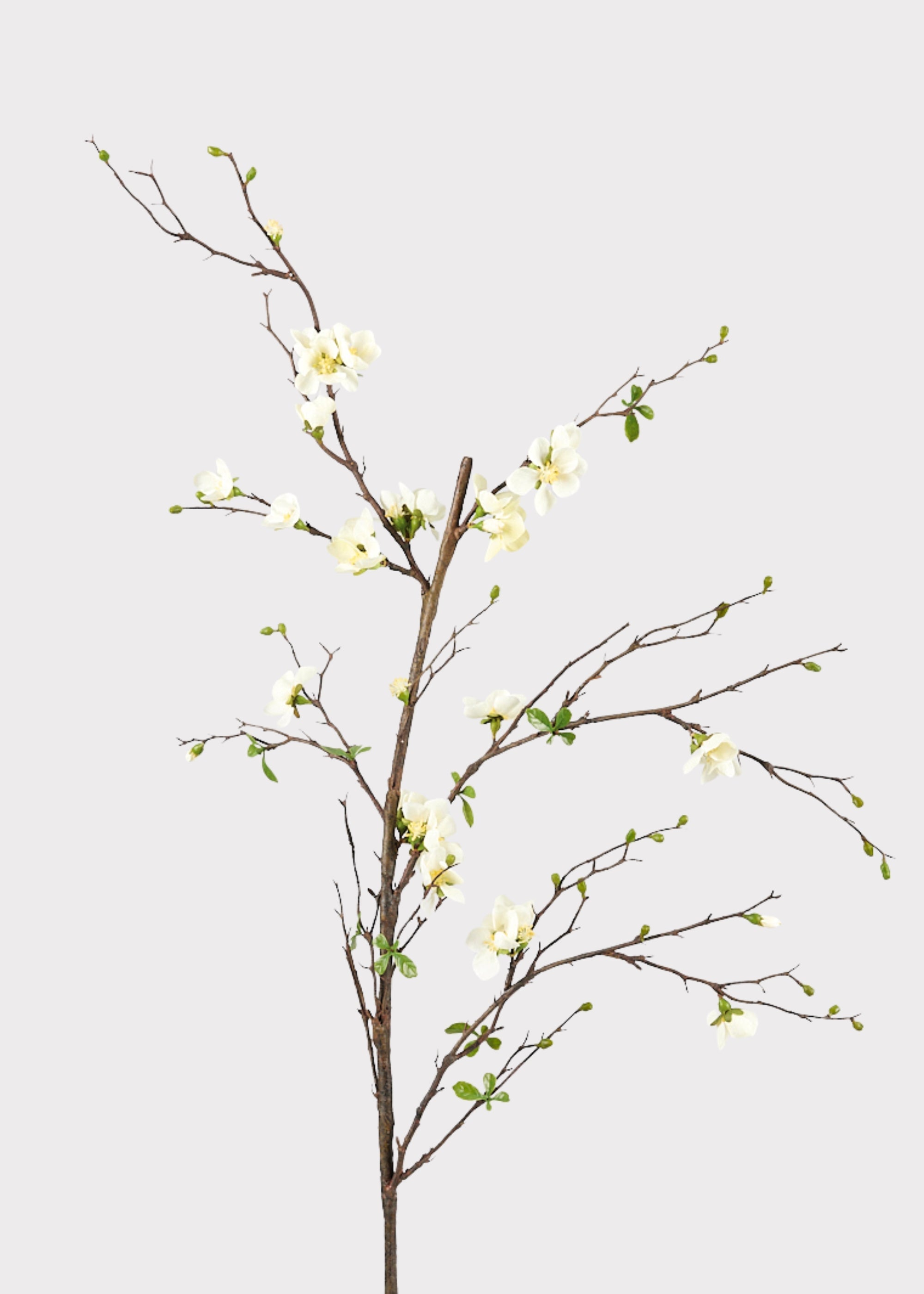 Premium Artificial Flowers - Cream Artificial Blossom Branch - 57"