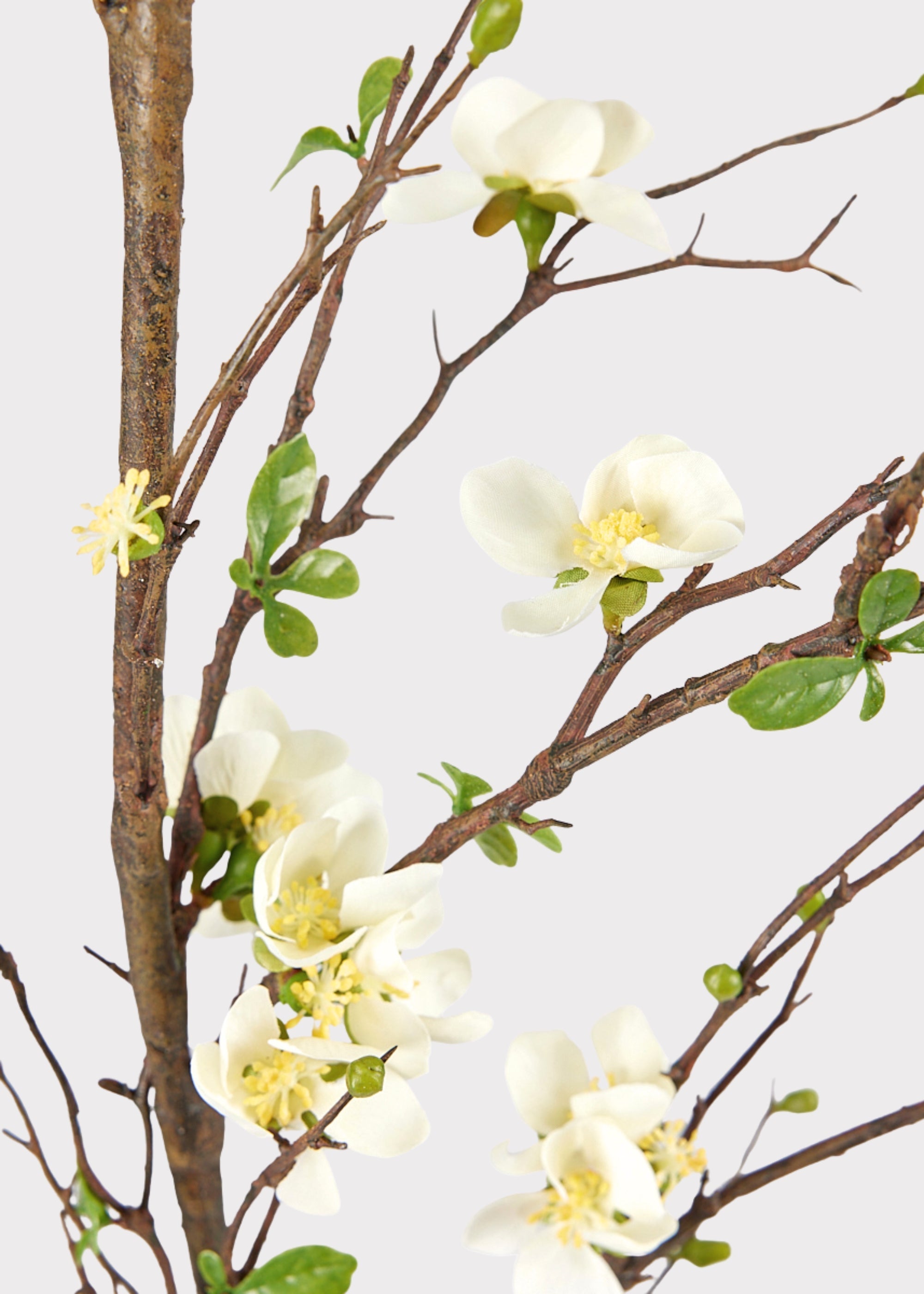 Premium Artificial Flowers - Cream Artificial Blossom Branch - 57"