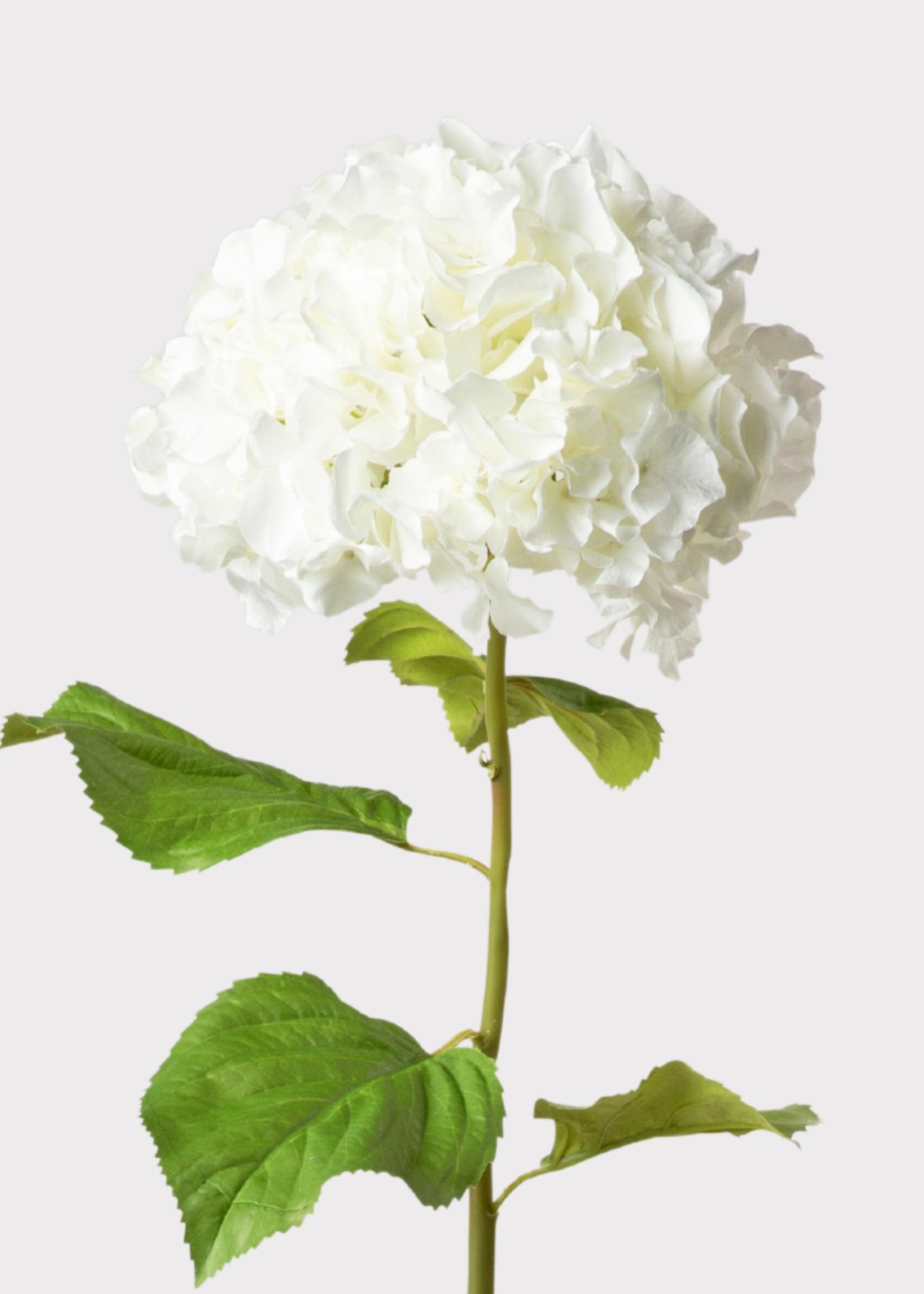 Tall Hydrangea Faux Flower in White - 45"
