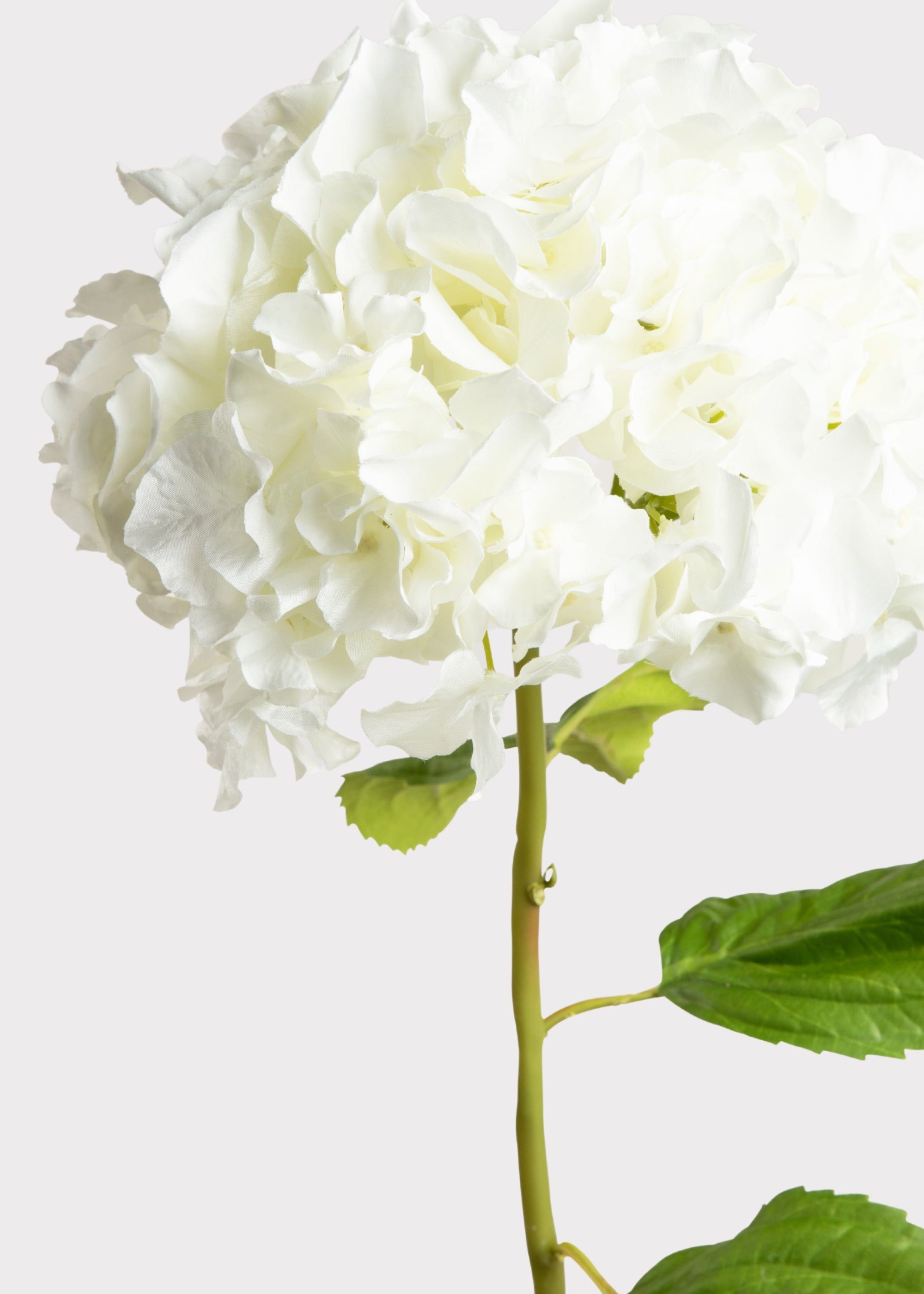 Tall Hydrangea Faux Flower in White - 45"