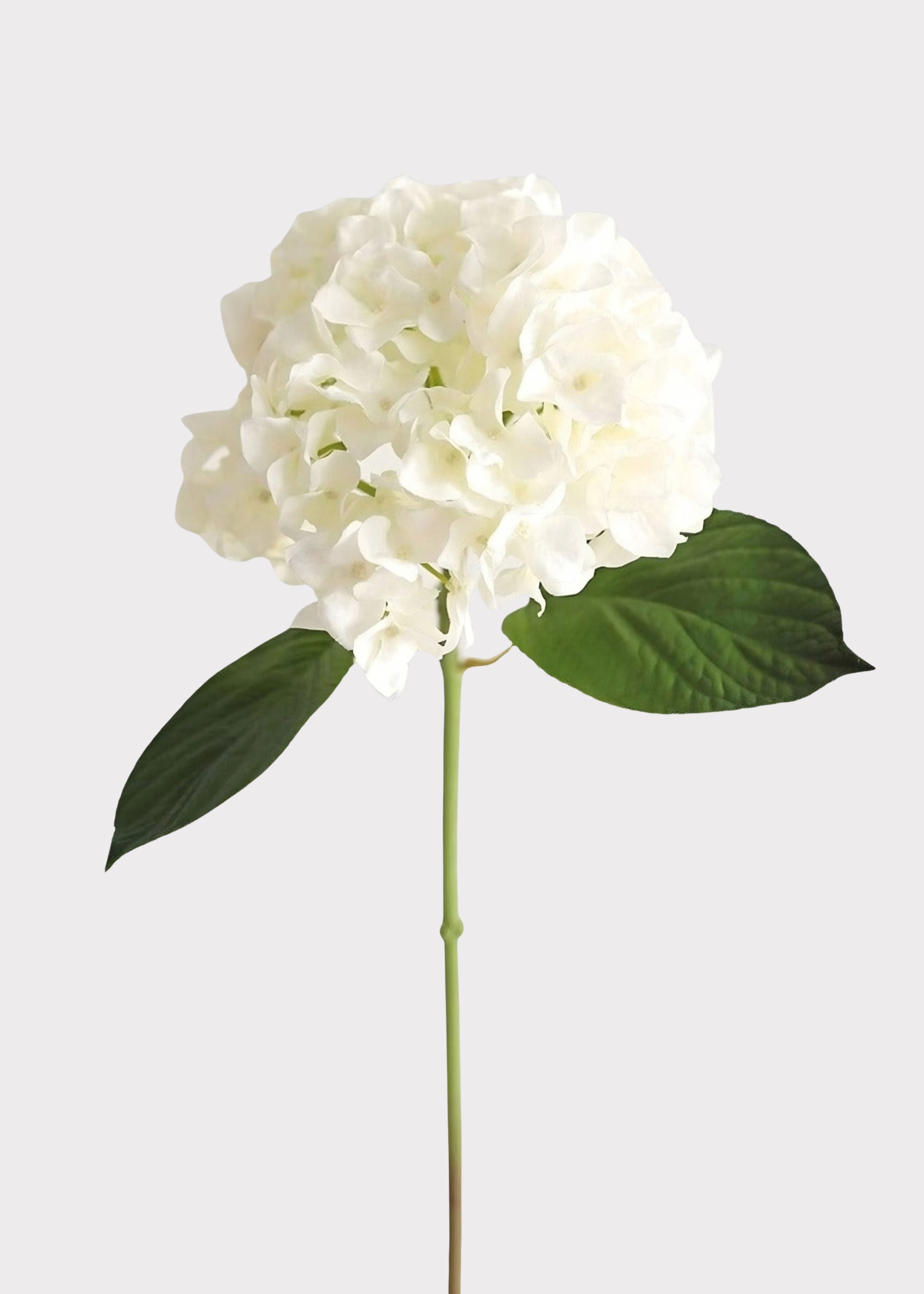 Fake Flowers Real Touch Hydrangea Stem in Talc White - 18"