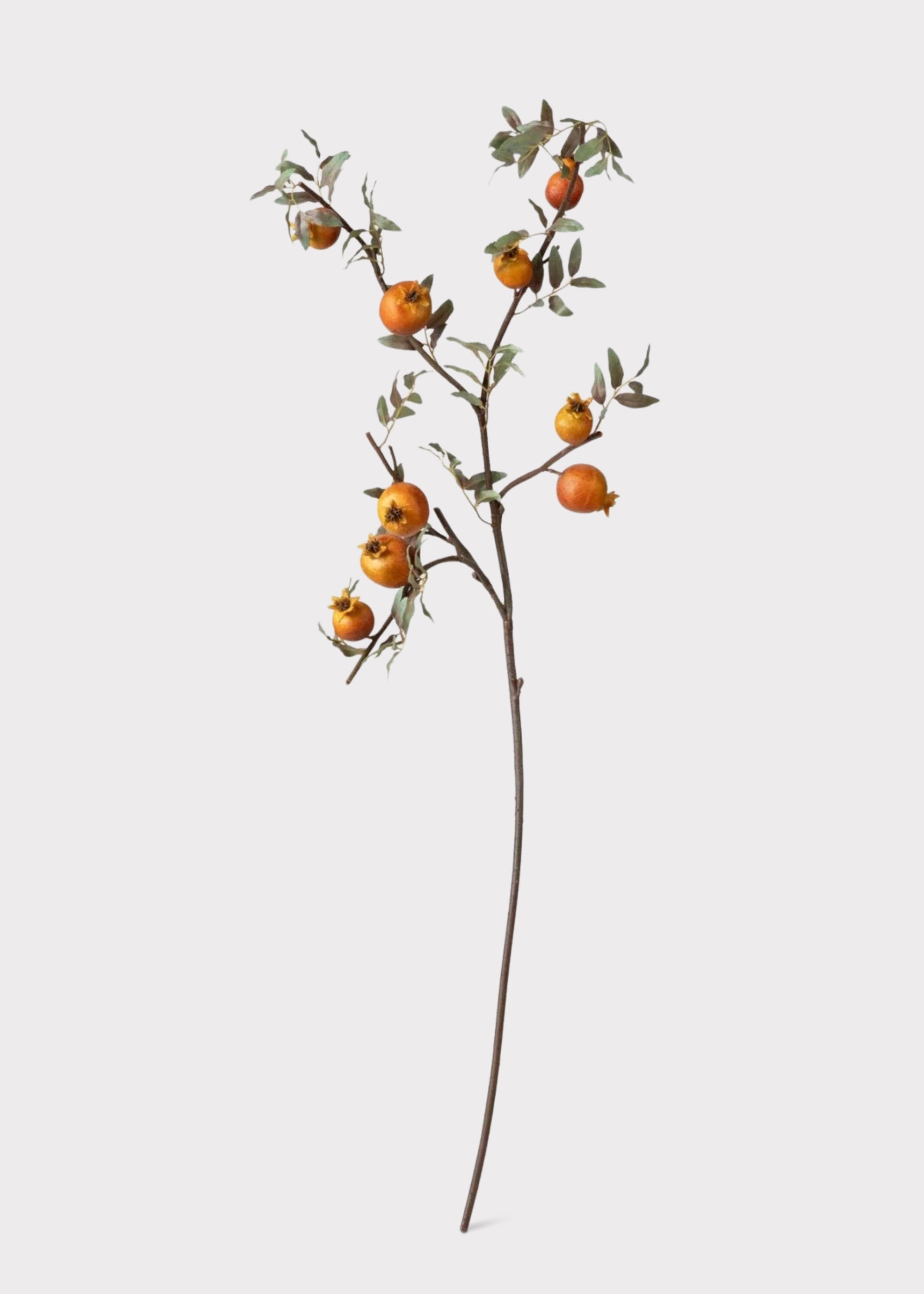 Dried Look Faux Pomegranate Branch - 44"