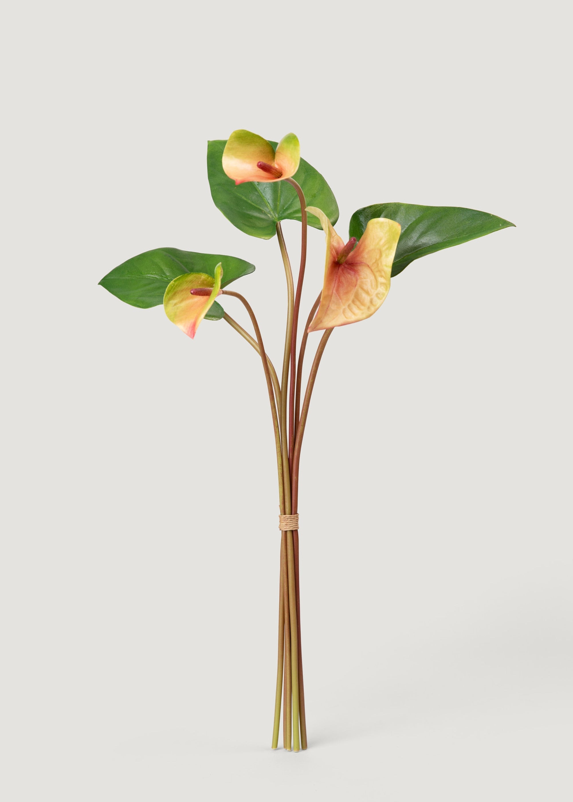 Pink and Green Fake Tropical Flower Anthurium Bundle - 25"
