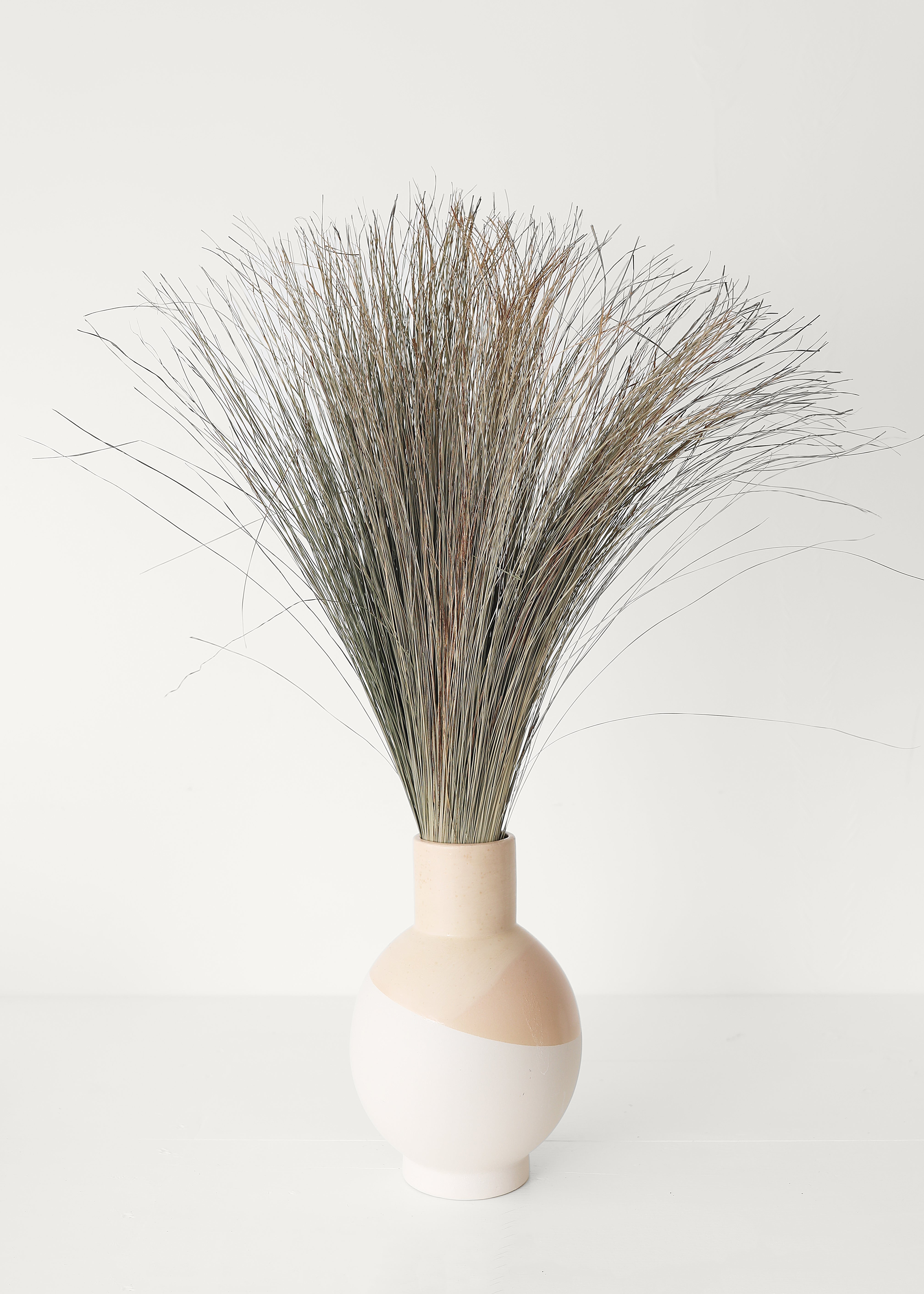 Preserved Coastal Dune Grass - 36"