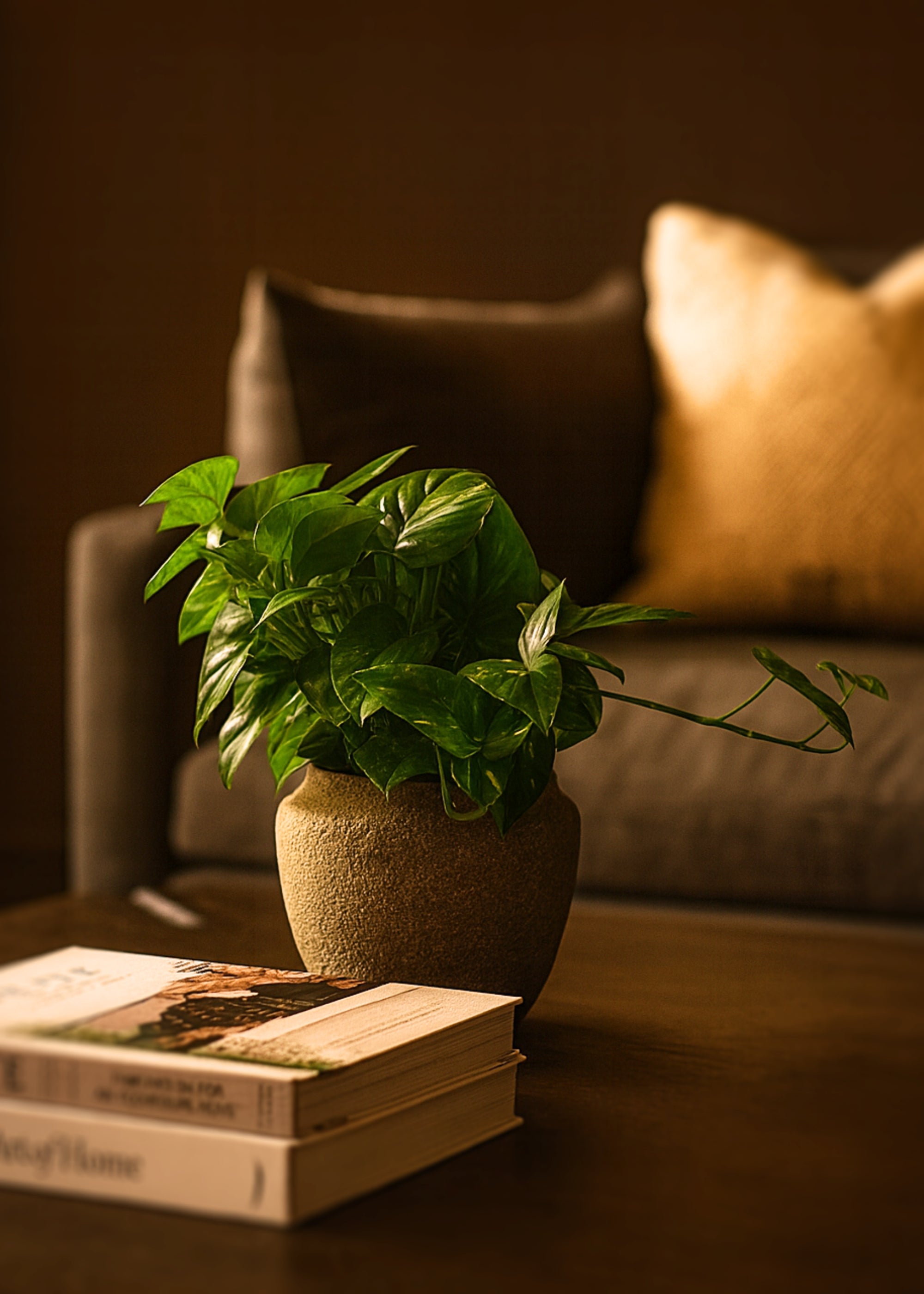 faux potted pothos houseplant Artificial Pothos UV Treated Indoor/Outdoor Hanging Plant