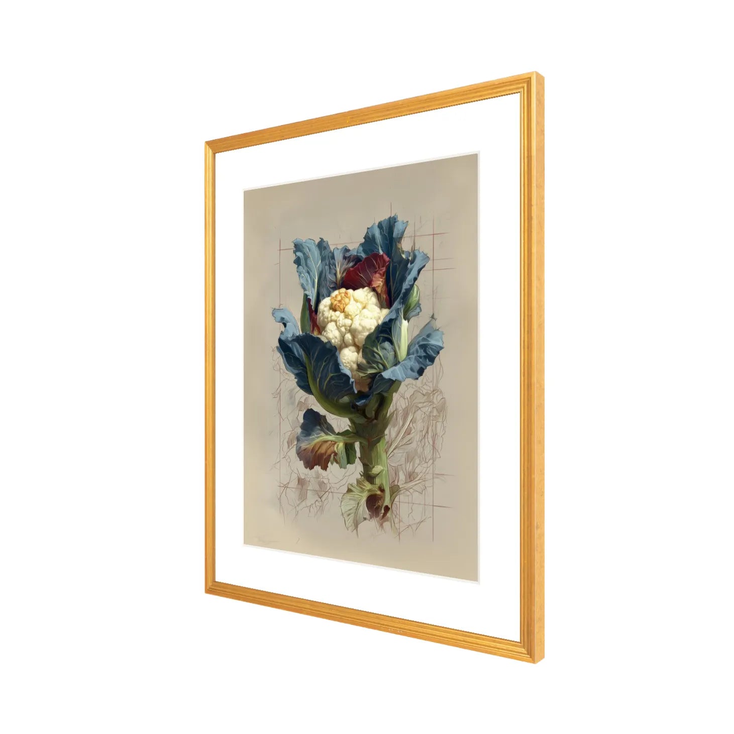 Framed artwork of a botanical illustration of a cauliflower with a gold frame on a white background