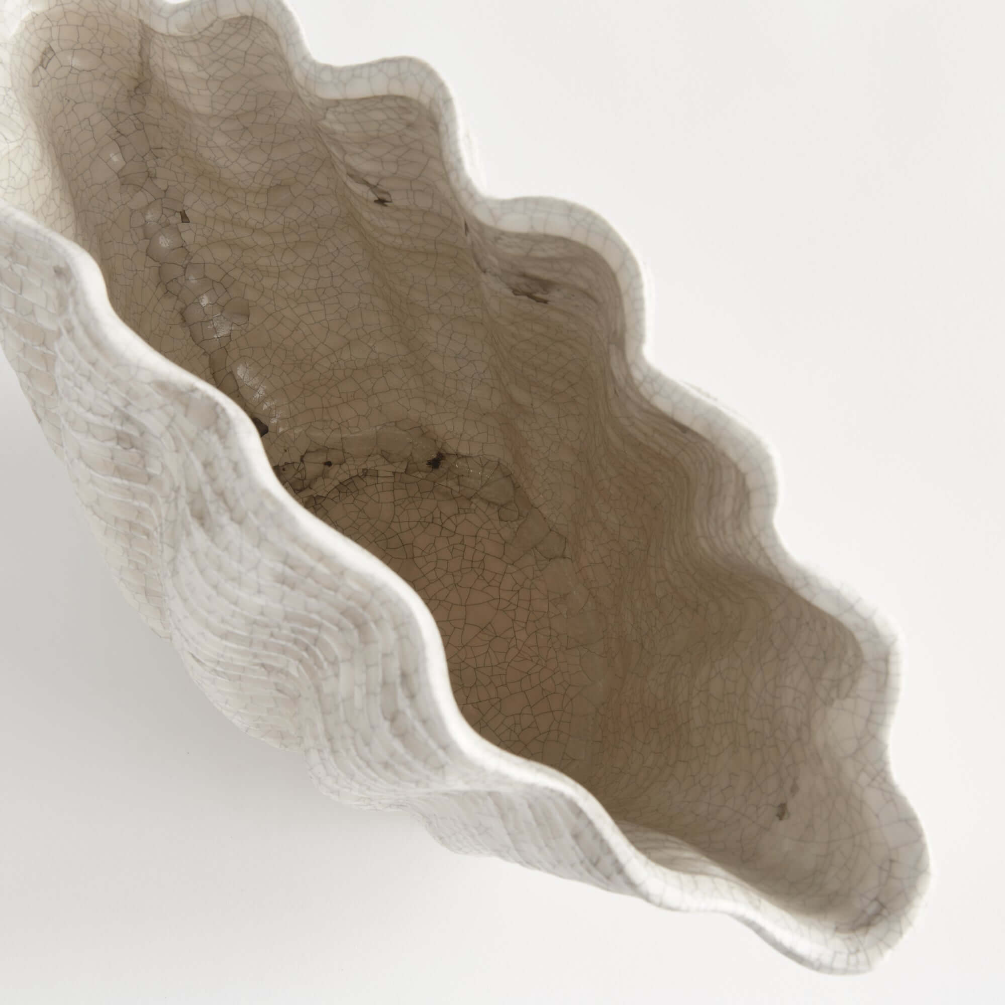 Close-up of a textured ceramic shell shaped vase with wavy edge on a white background