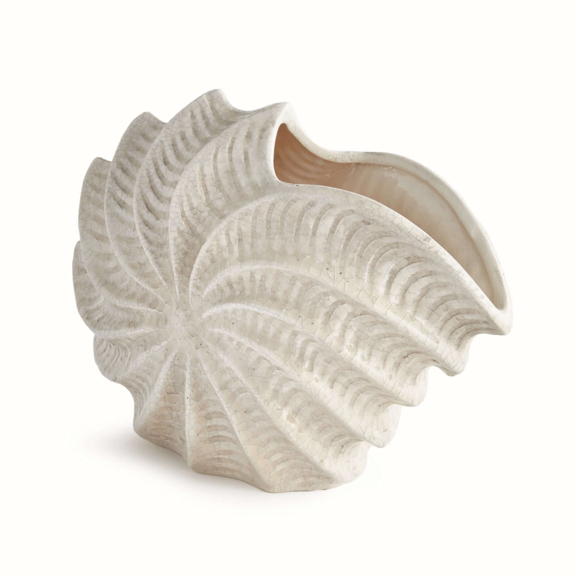 Decorative shell-shaped vase showing texture on a white background