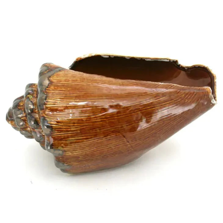 Brown shell-shaped container on a white background