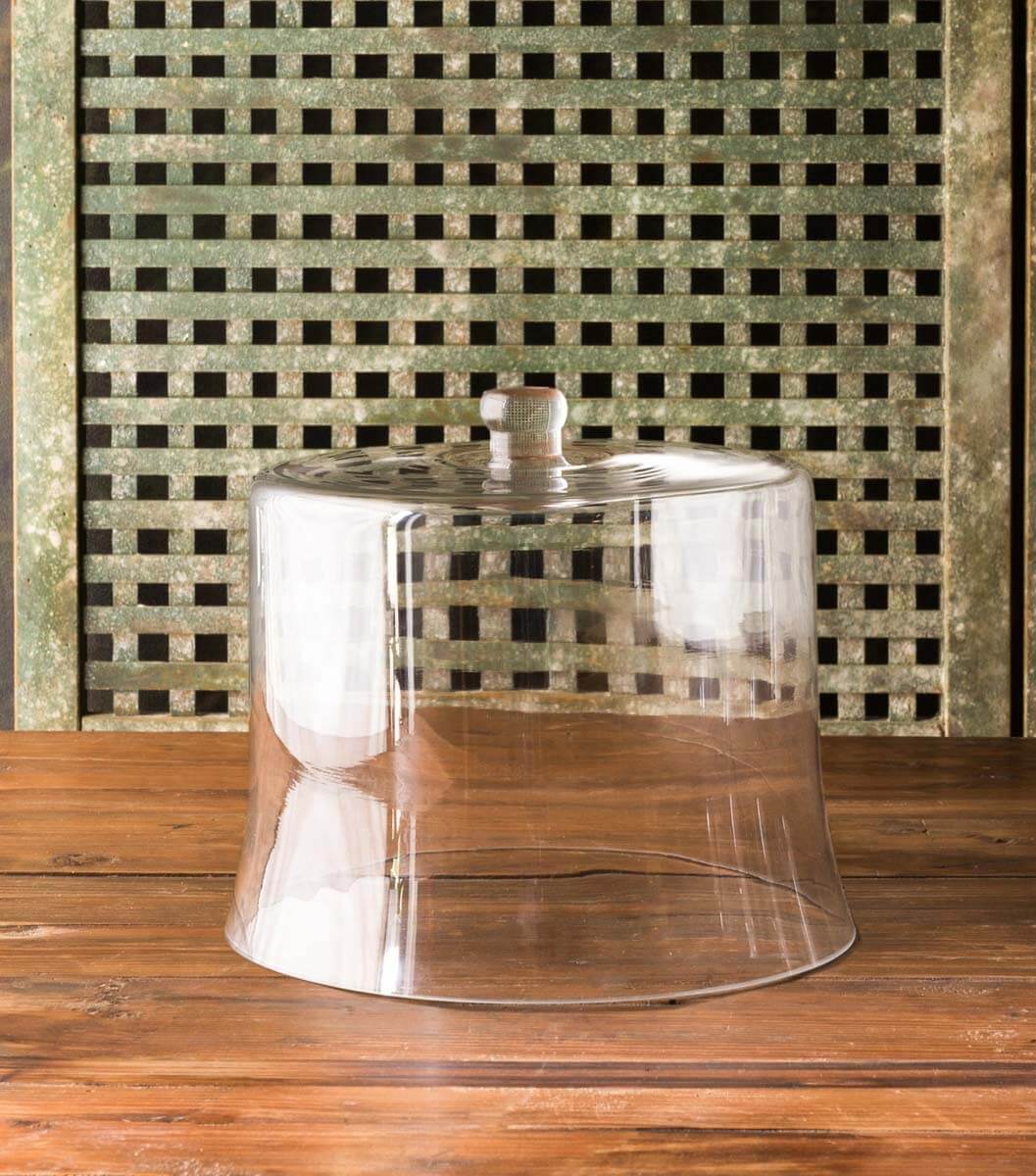 Clear glass cloche on a wooden surface with a patterned wall in the background