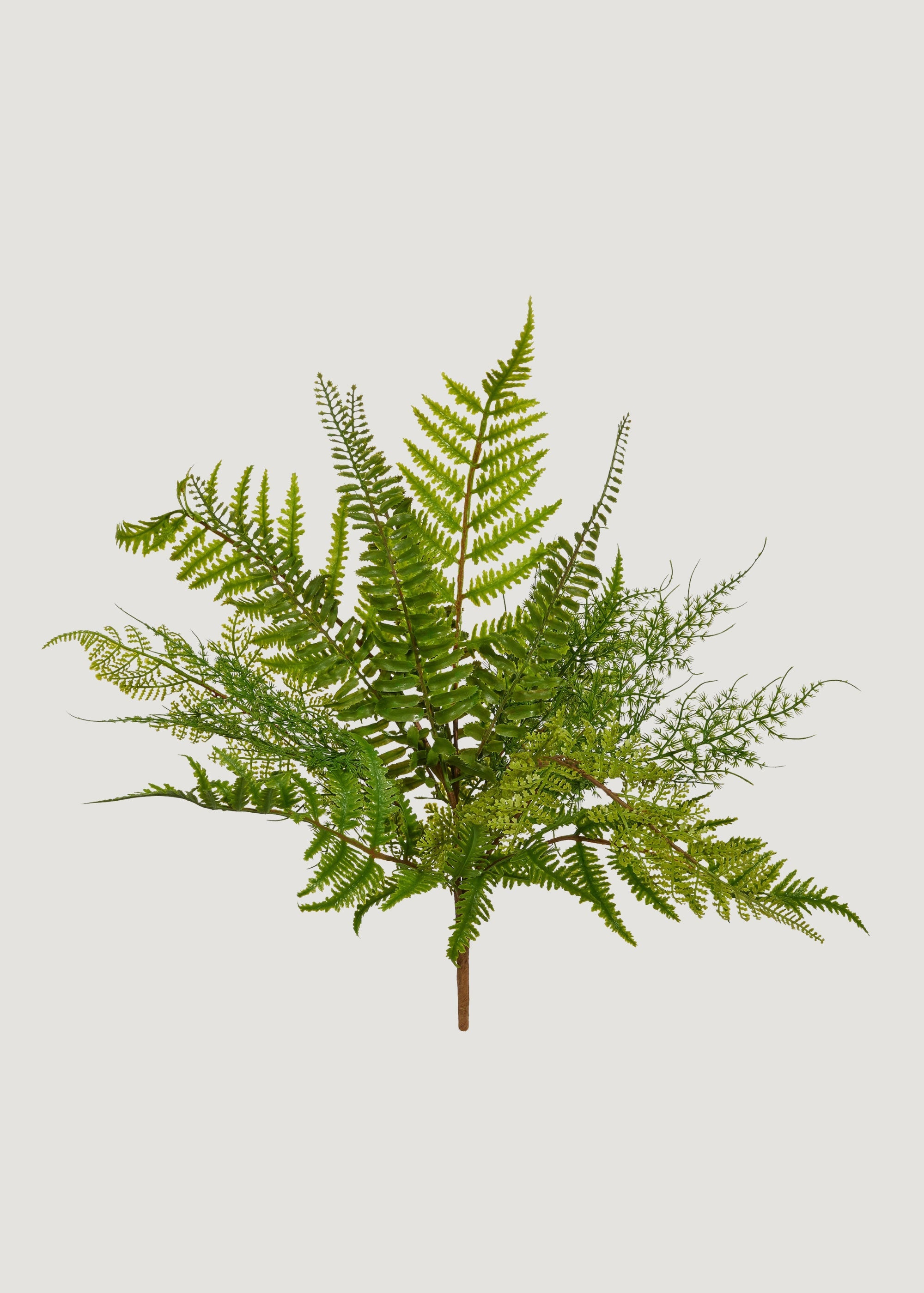 Fake Fern Leaf Plant - 18.5"