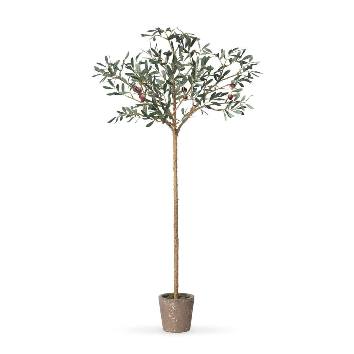 Potted artificial olive tree with green leaves on a white background