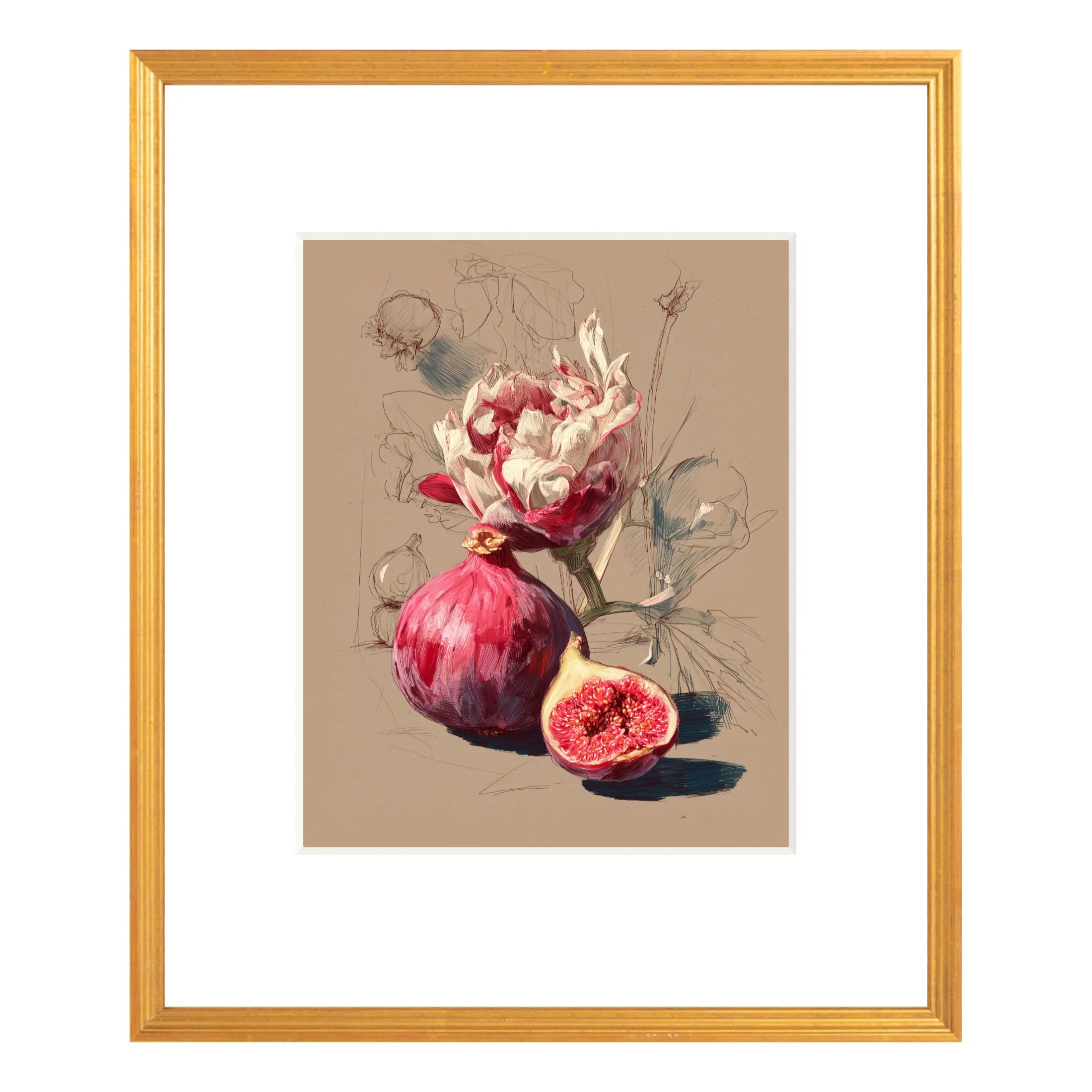 Framed fig still life art print featuring whole and cut fig, antique gold frame with white mat, 20 × 24 front view