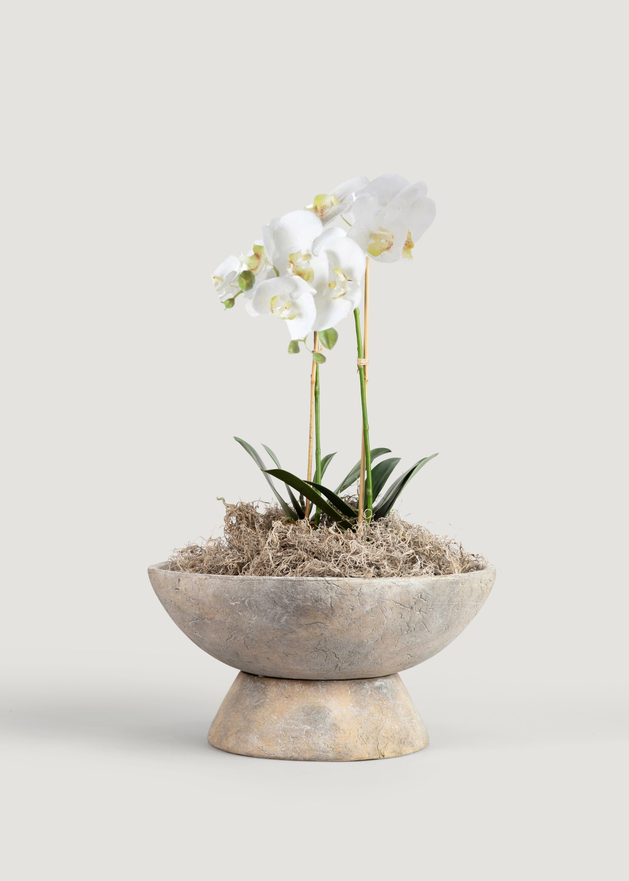 White Artificial Phalaenopsis Orchid Drop-In Plant - 23"