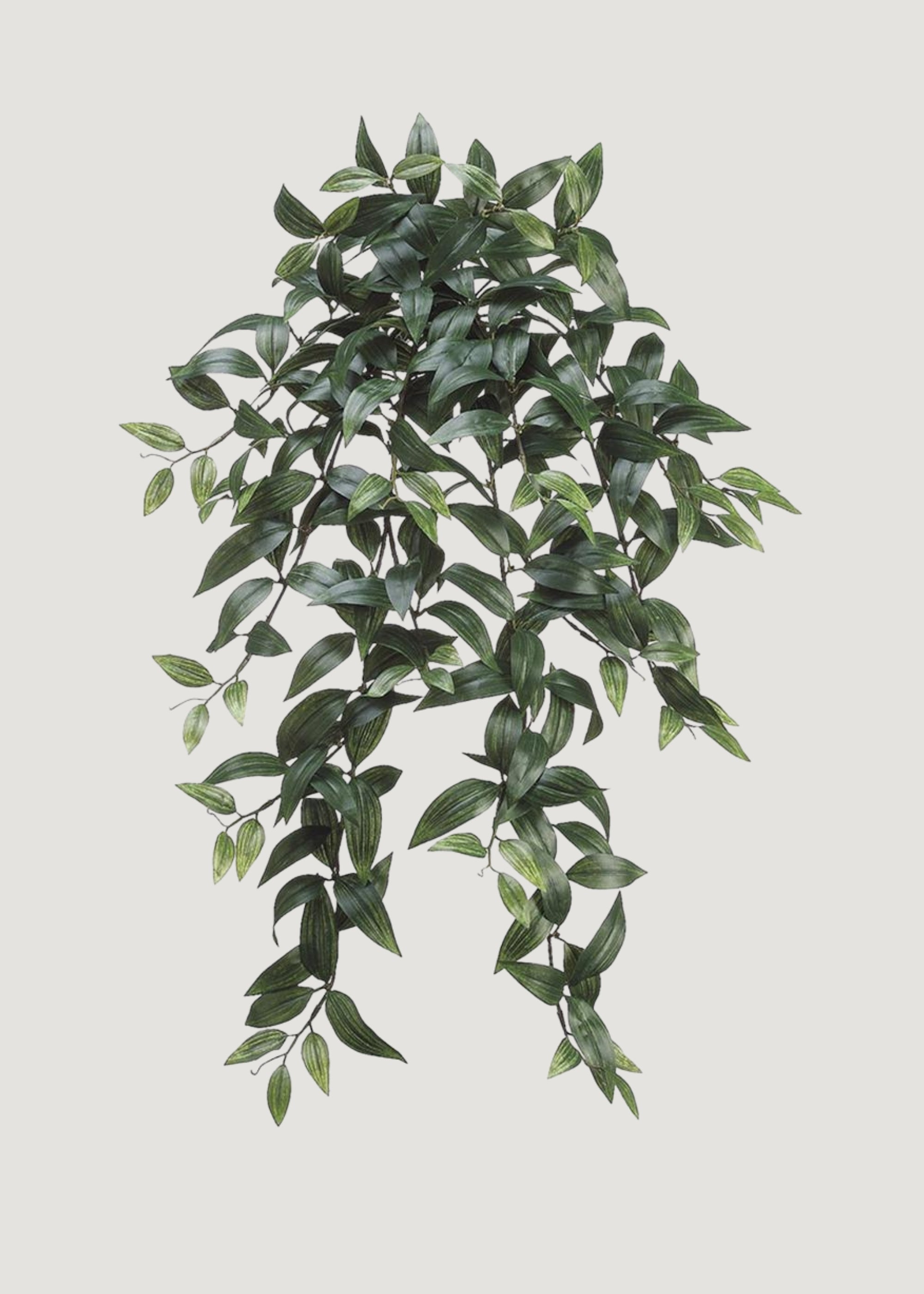Fake Ruscus Leaf Hanging Plant - 31"