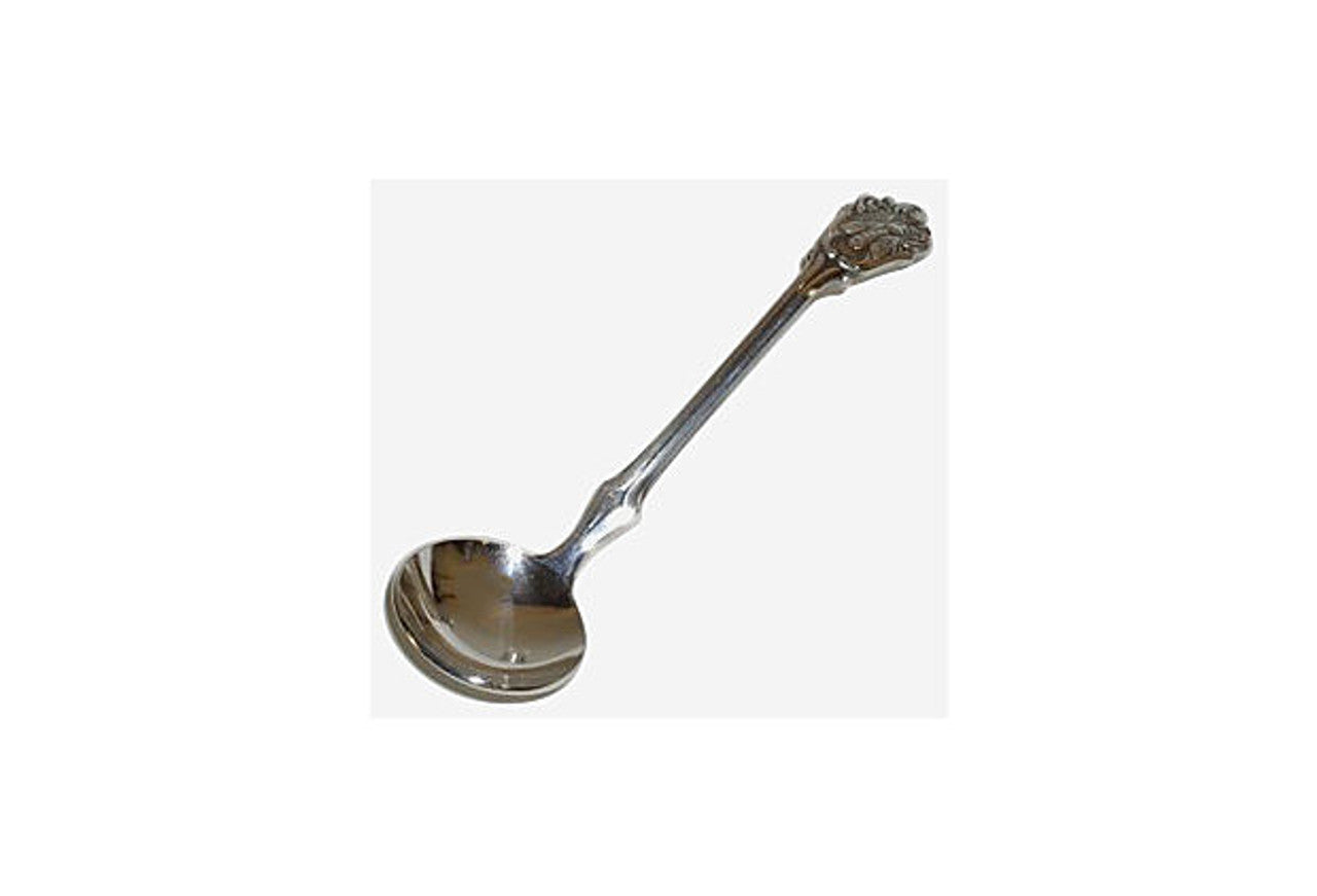 Silver spoon with decorative handle on a white background