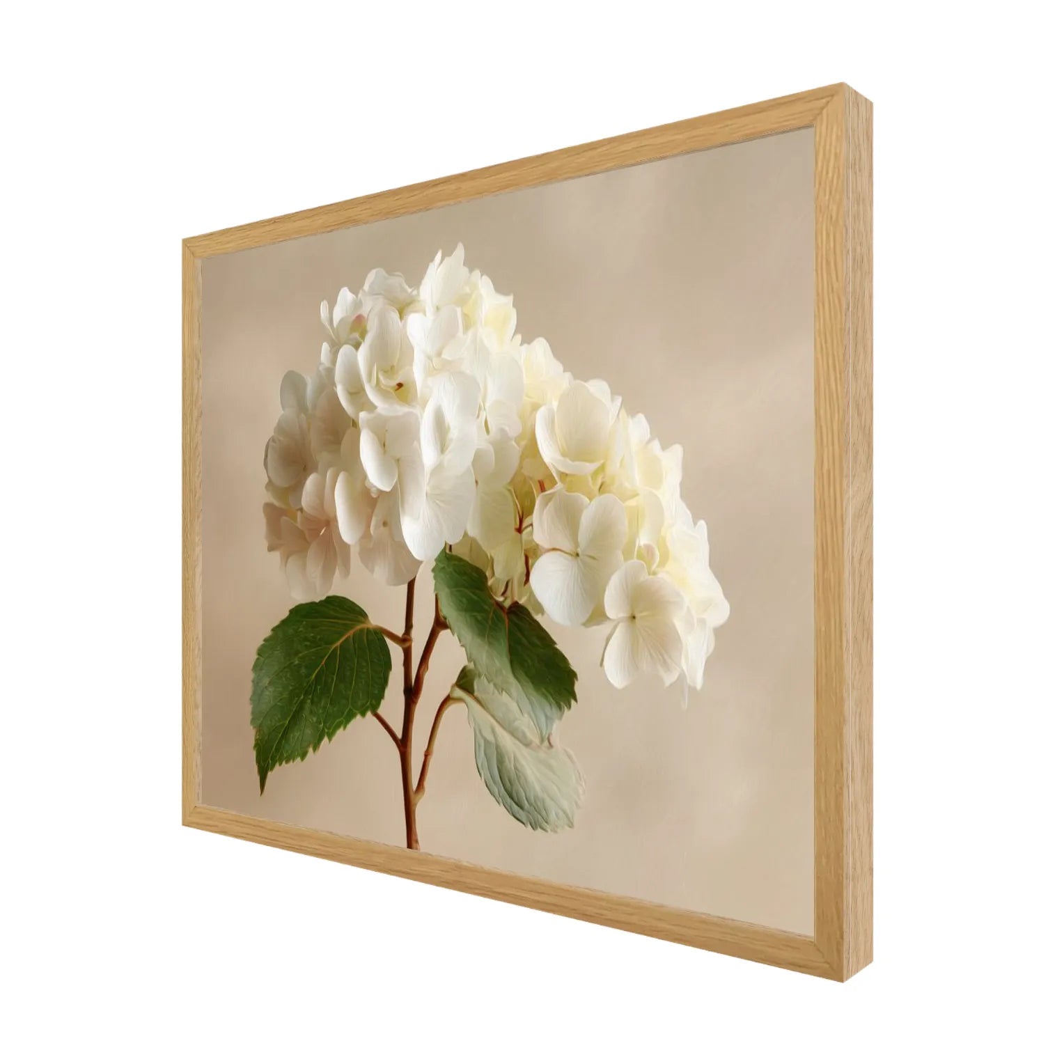 Framed artwork of white hydrangeas with a white oak wooden frame on a white background