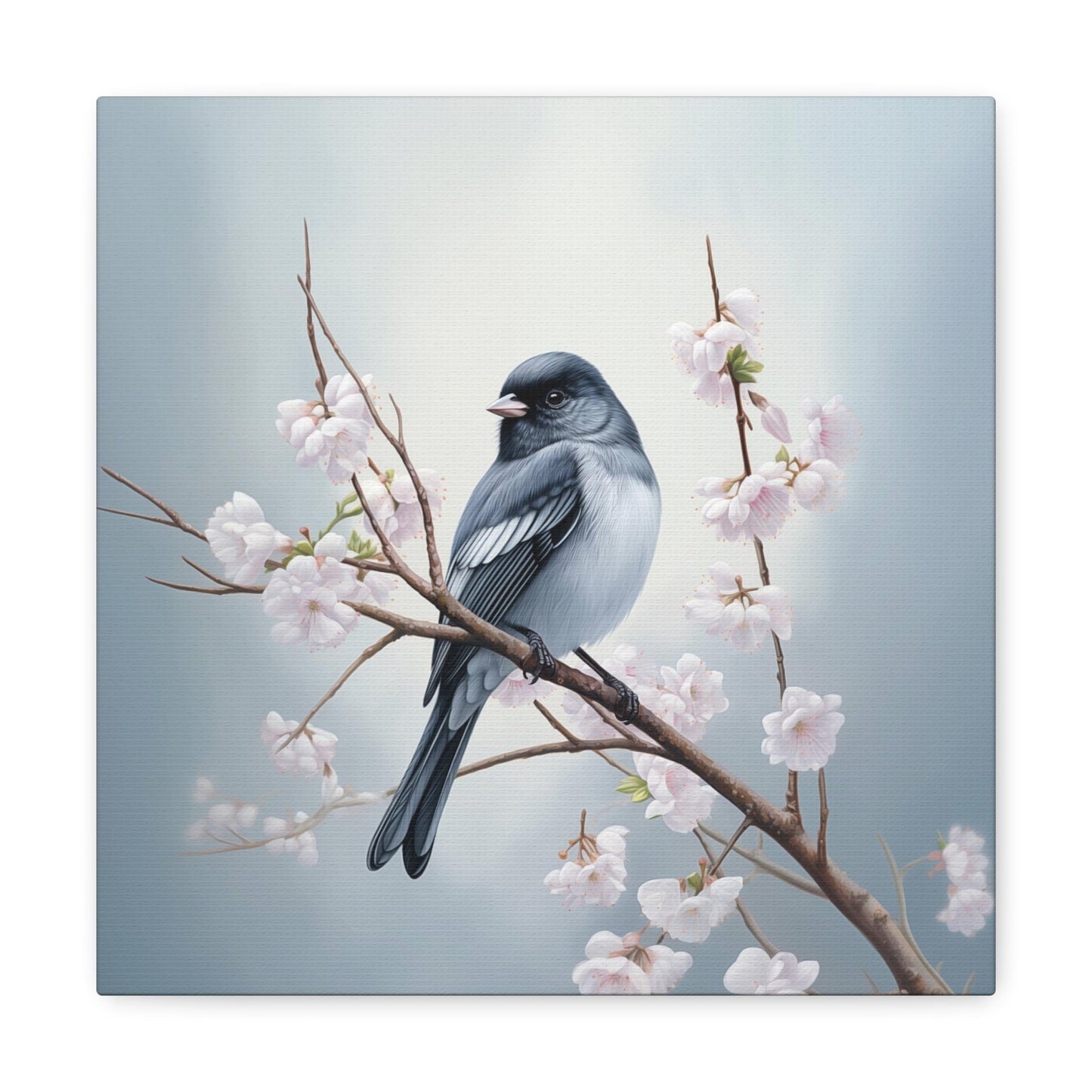 Dark-Eyed Junco Bird - Canvas Print Gallery Wrap - Junco Hyemalis