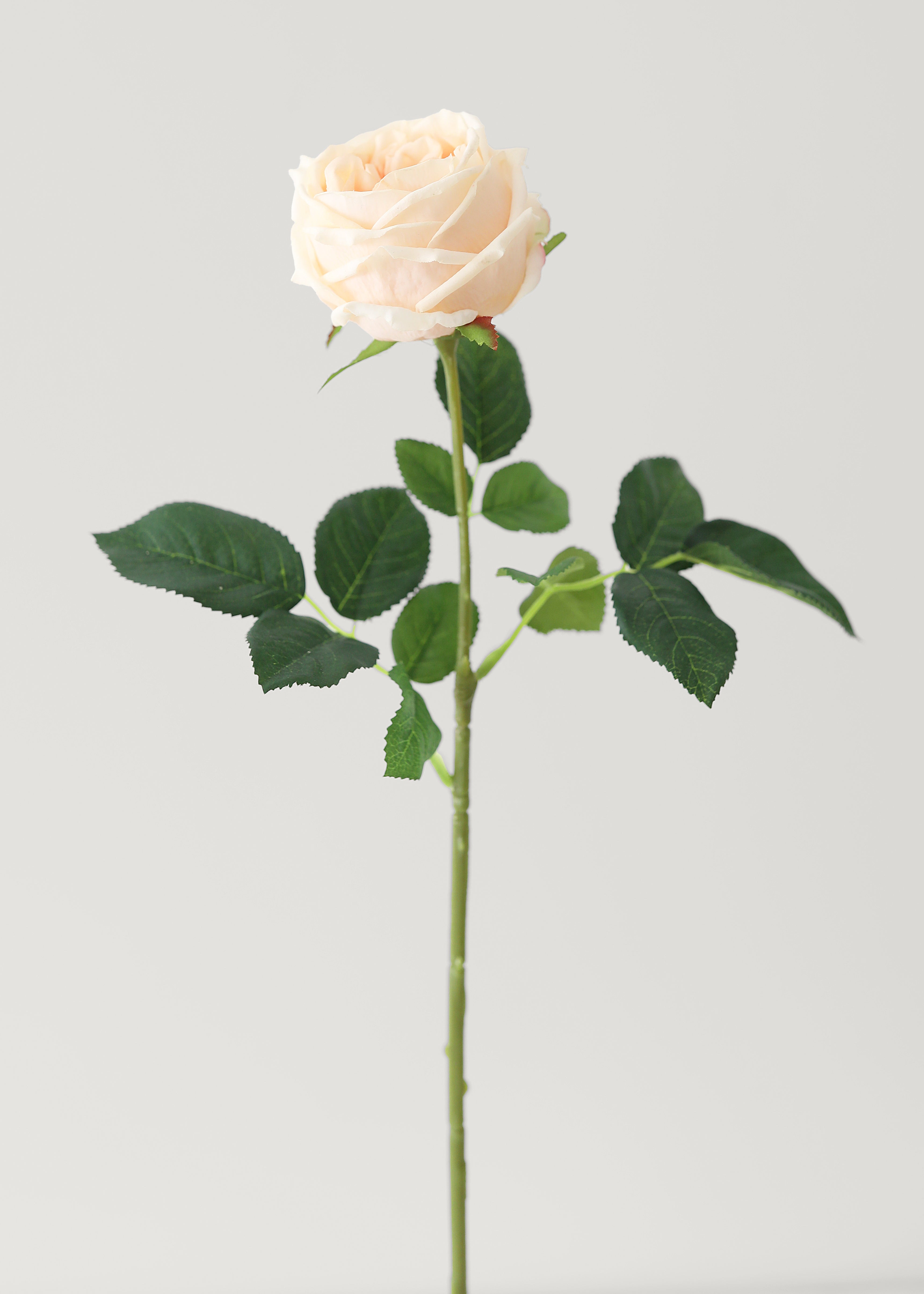 Peach Real Touch Rose Artificial Flower - 24"