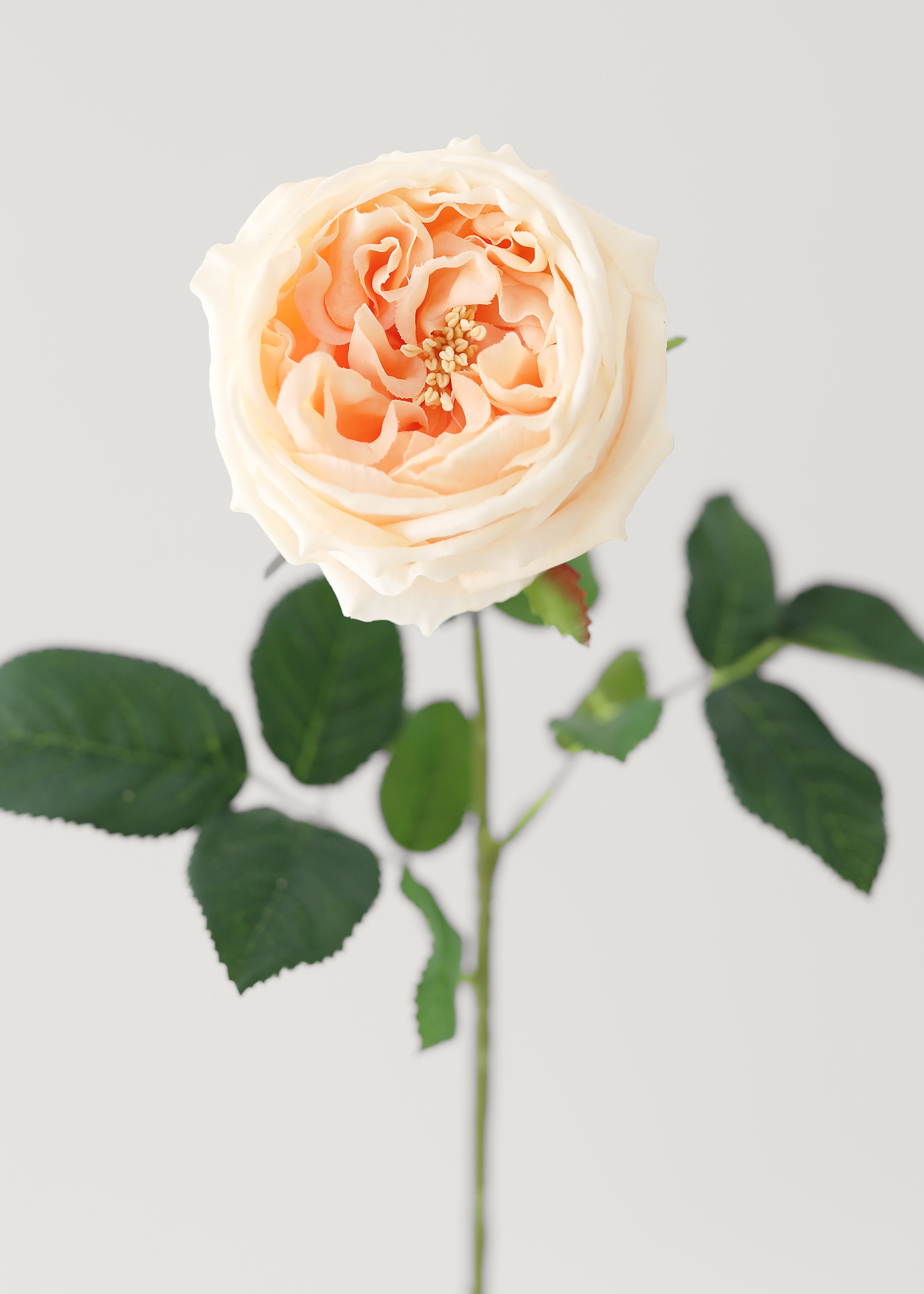 Peach Real Touch Rose Artificial Flower - 24"