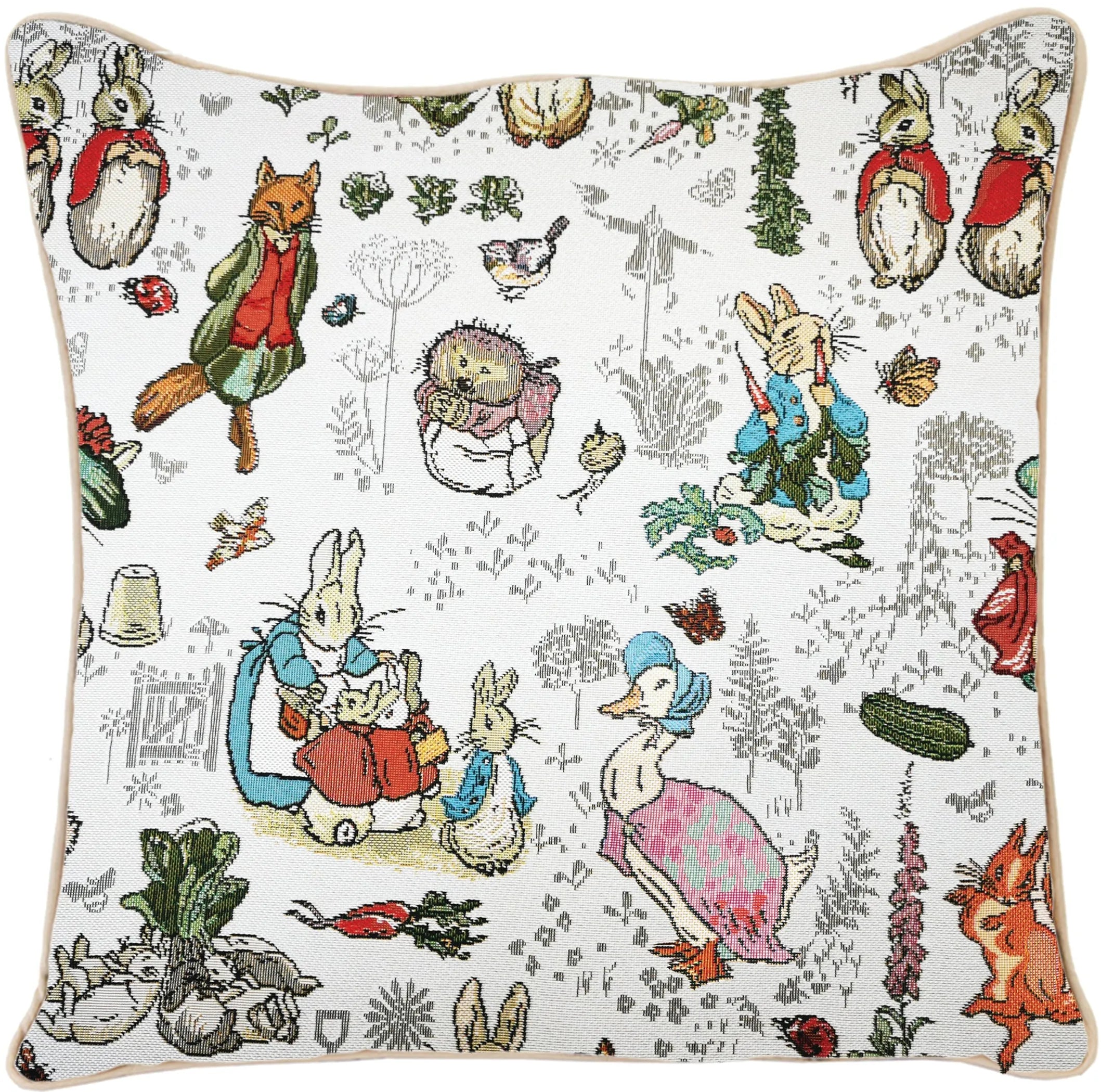 Peter Rabbit Decorative Design Fashion Home Pillow 18x18 Inch