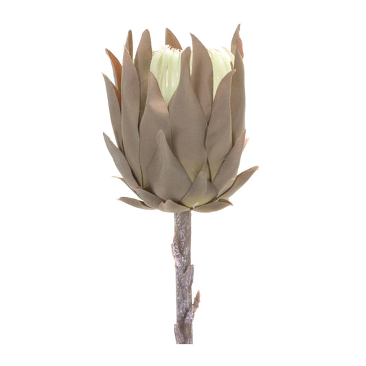 Protea Stem (Set of 6) 20"H Plastic