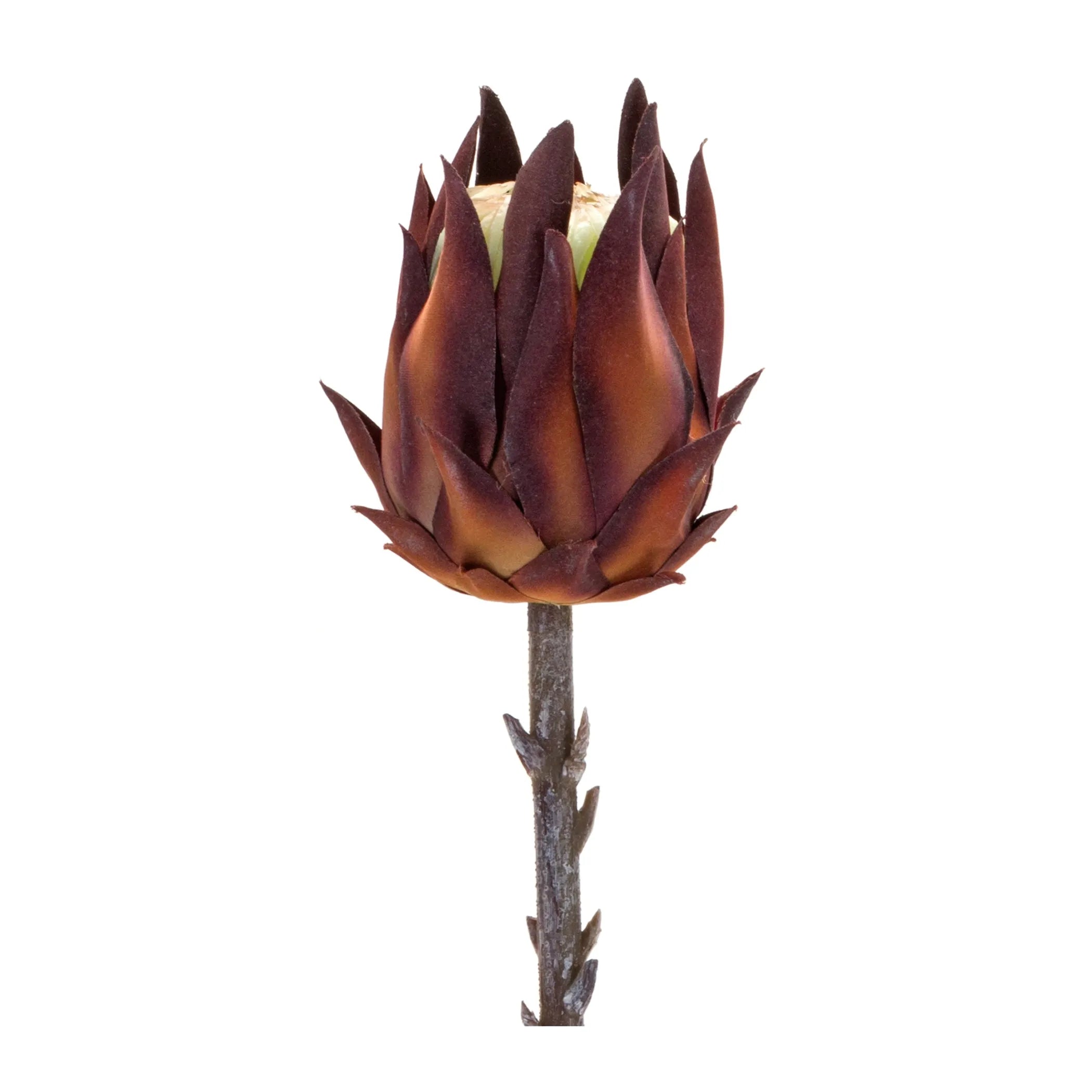 Protea Stem (Set of 6) 20"H Plastic