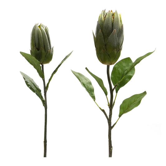 Protea Stem (Set of 6) 20"H, 26.5"H Polyester