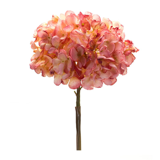 Hydrangea Stem (Set of 6) 23"H Polyester