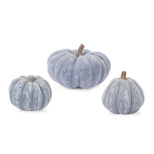 Distressed Pumpkin Set of Modern blue tones with distressed white finish