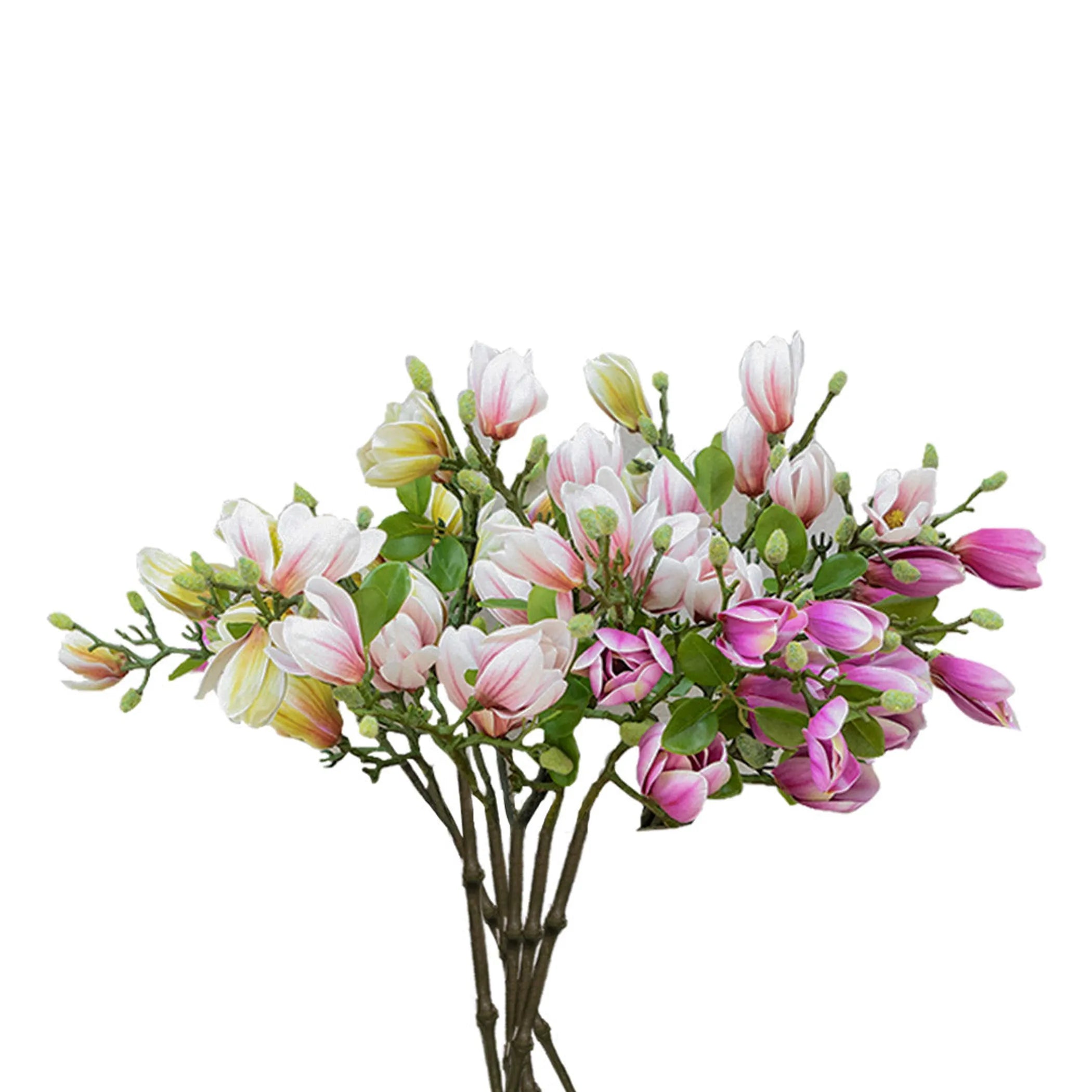 Bouquet of pink and white magnolia flowers on a white background