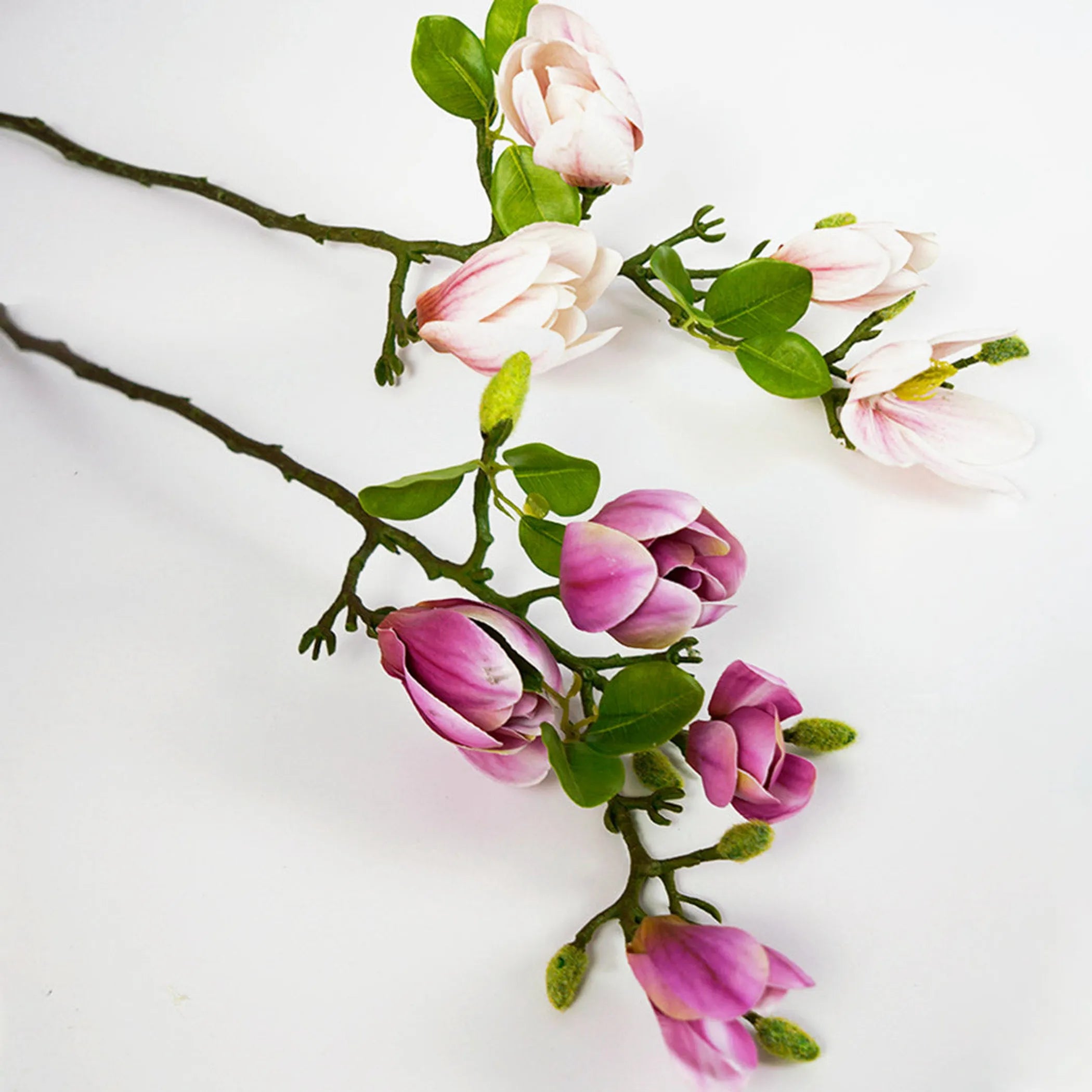 Floral magnolia arrangement with pink and purple flowers on a white background
