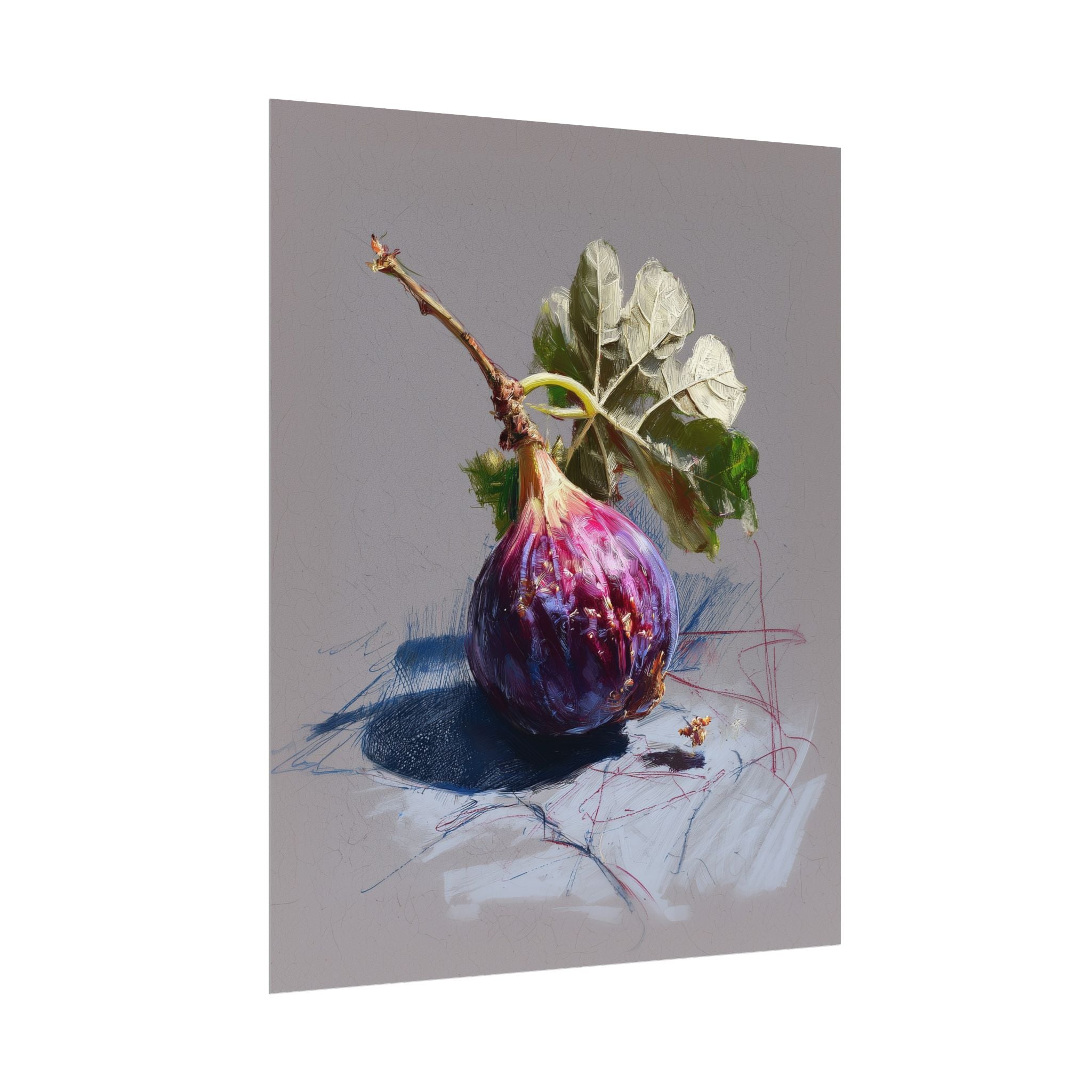 Vibrant Fig Fine Art Print – A Stunning Botanical Still Life Sketch