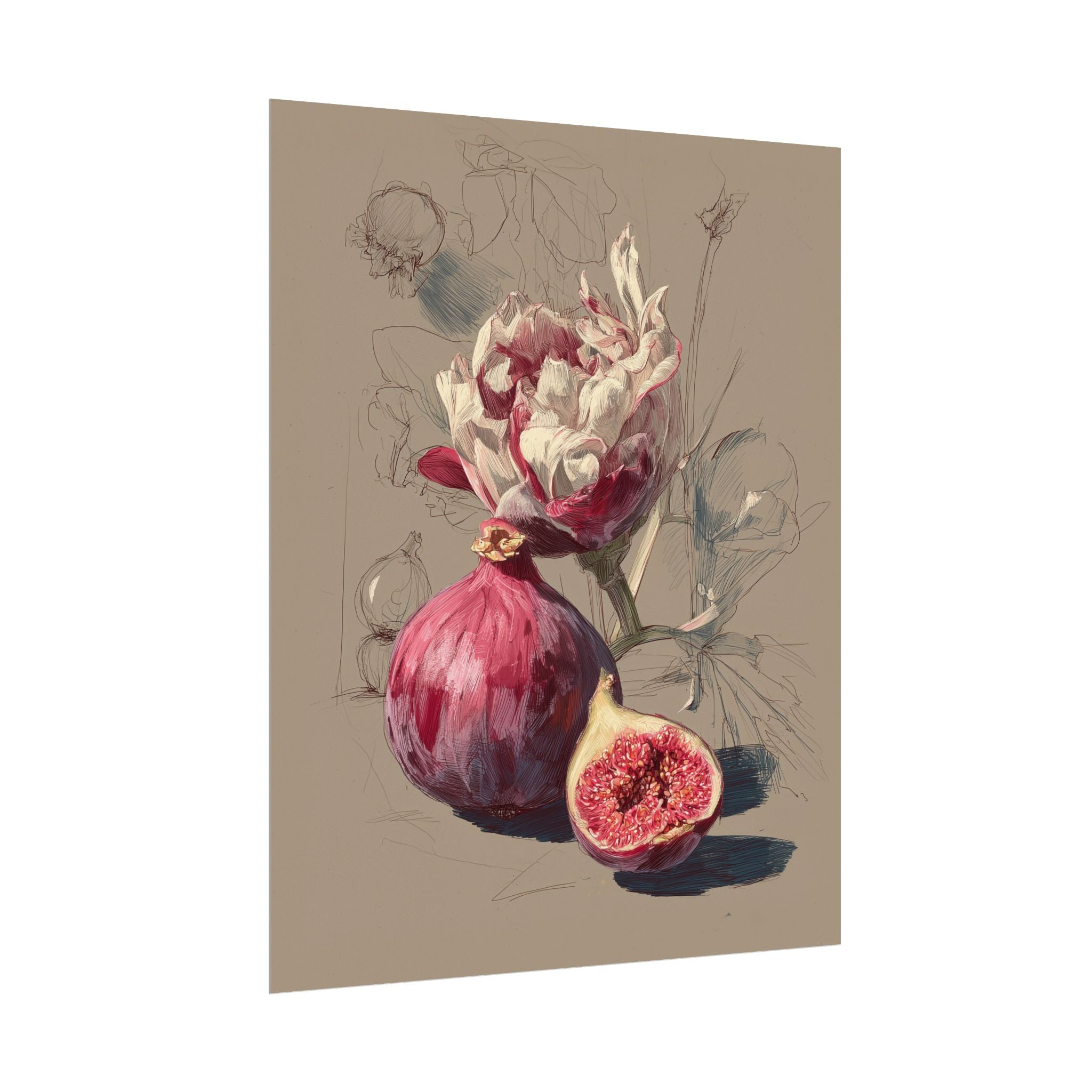 Artistic depiction of a fig and flower on a beige background